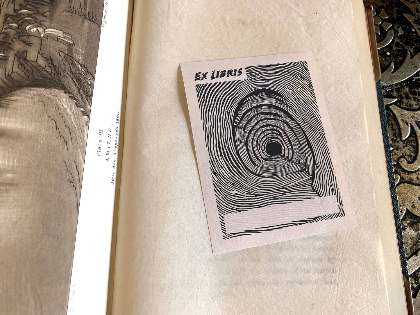 Rabbit Hole Bookplate