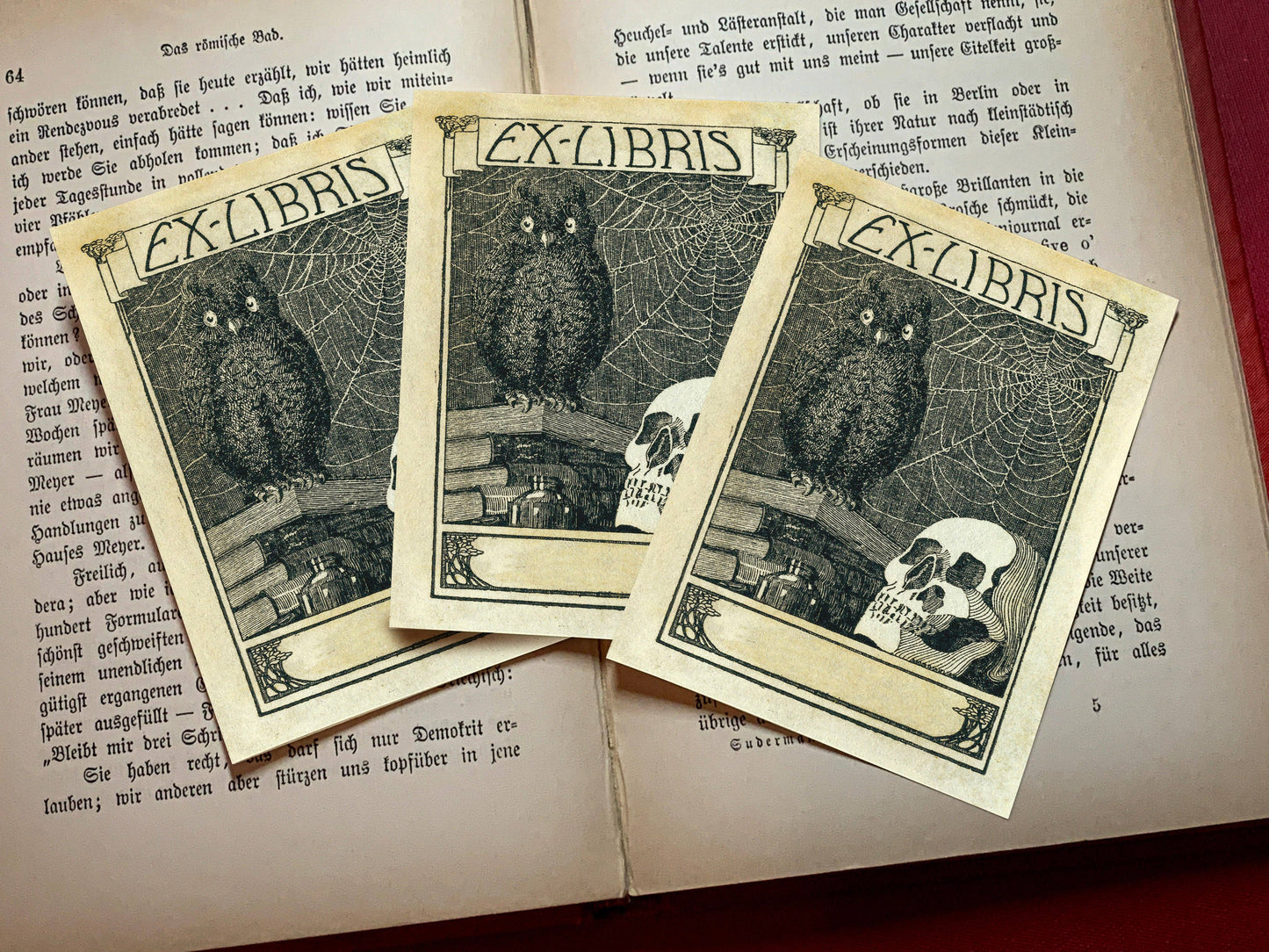 Skull and Owl Bookplate