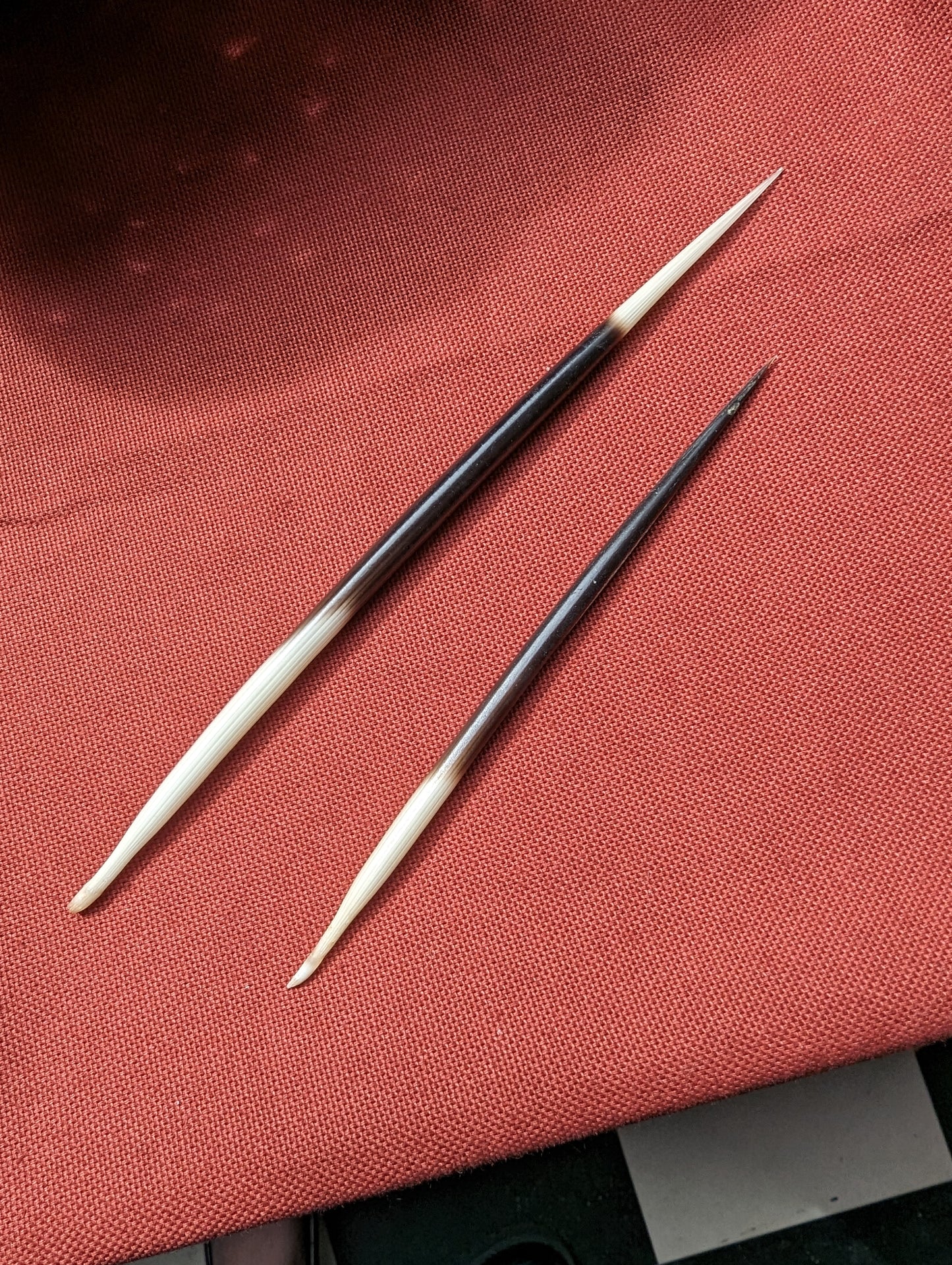 Porcupine Quill