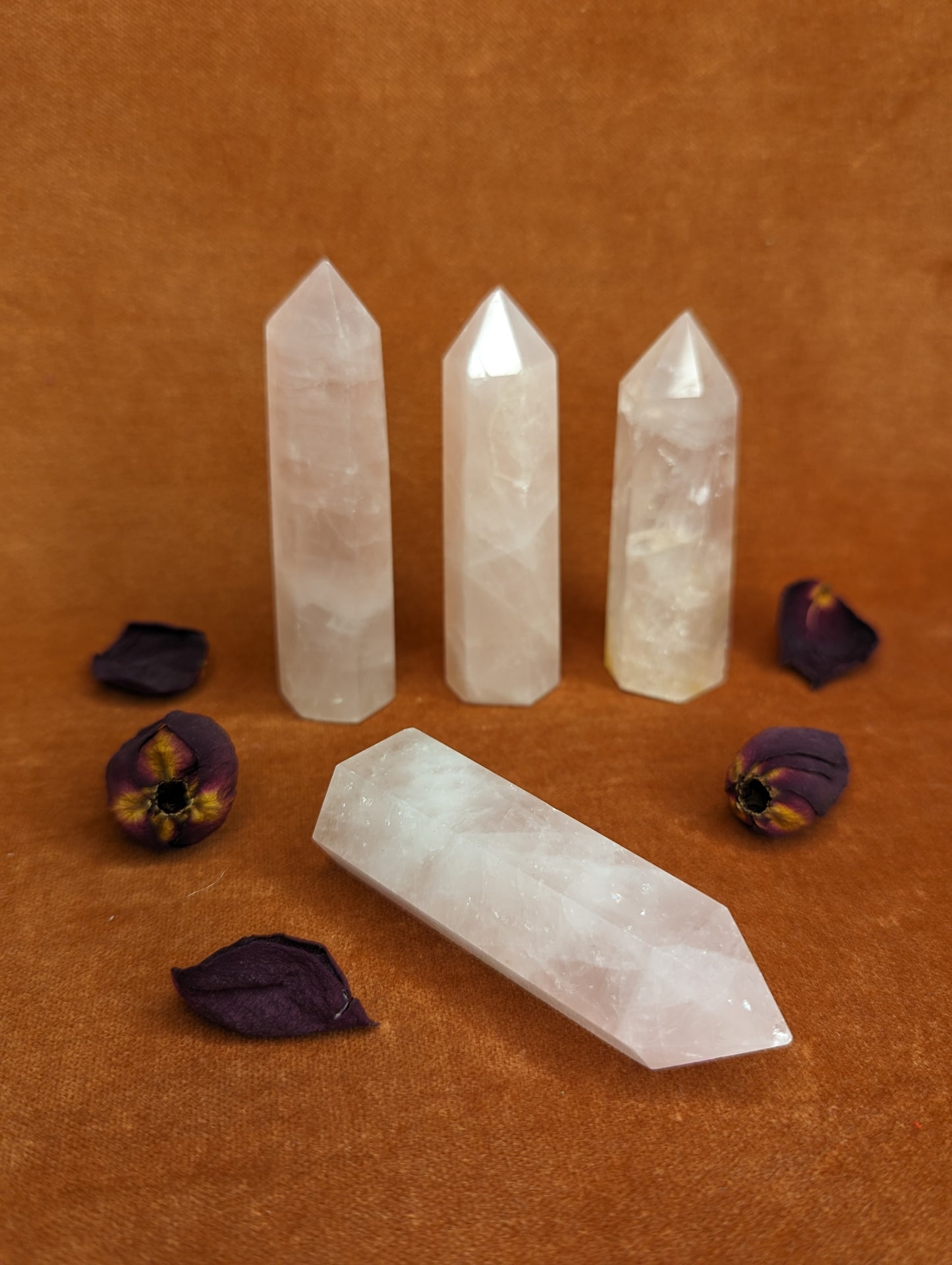 Rose Quartz Standing Crystal Point