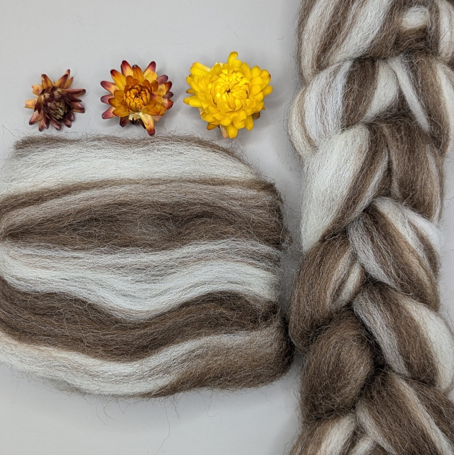 Dyed Shetland Combed Tops 50g