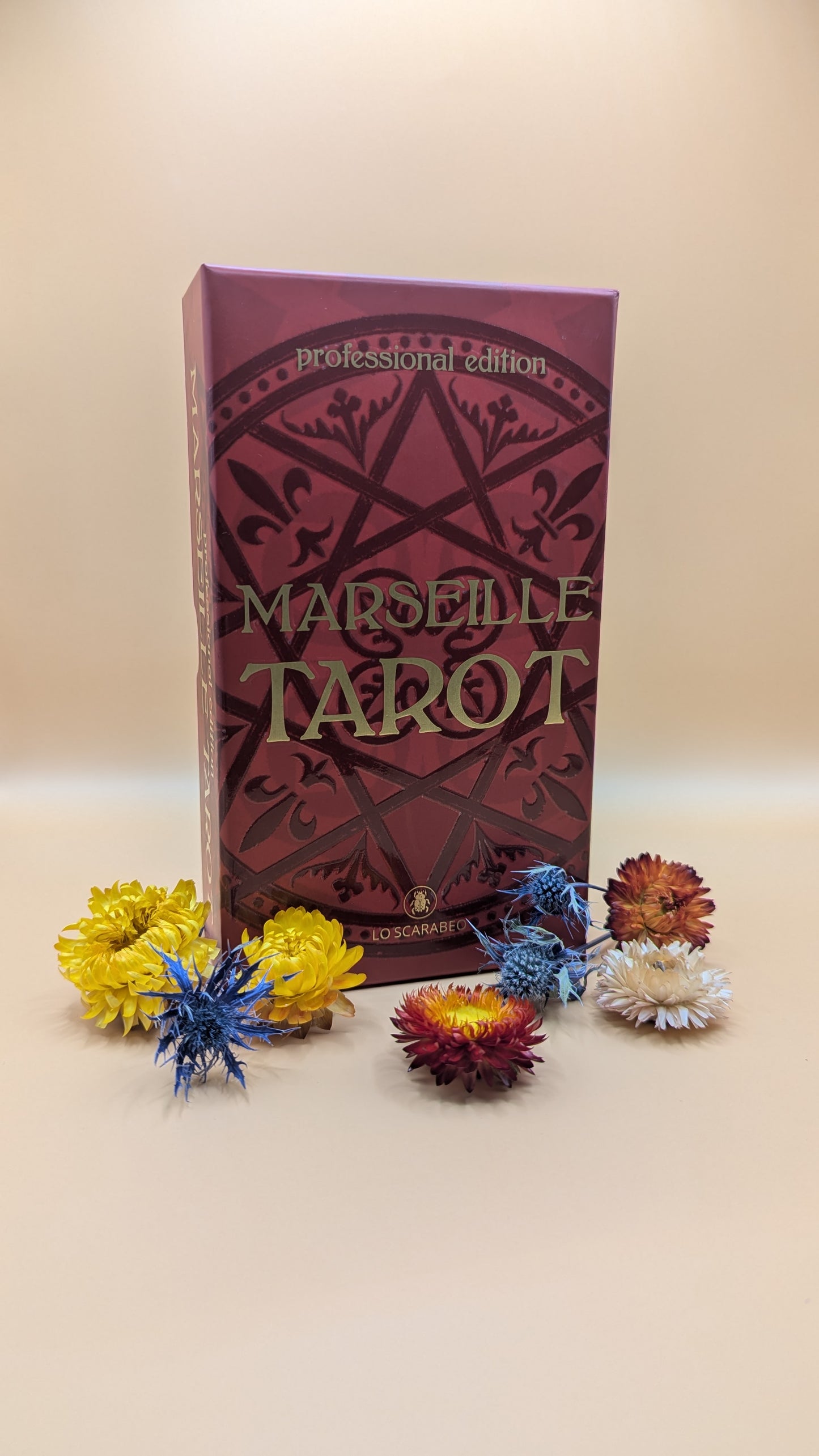 Marseille Tarot (Professional Edition)