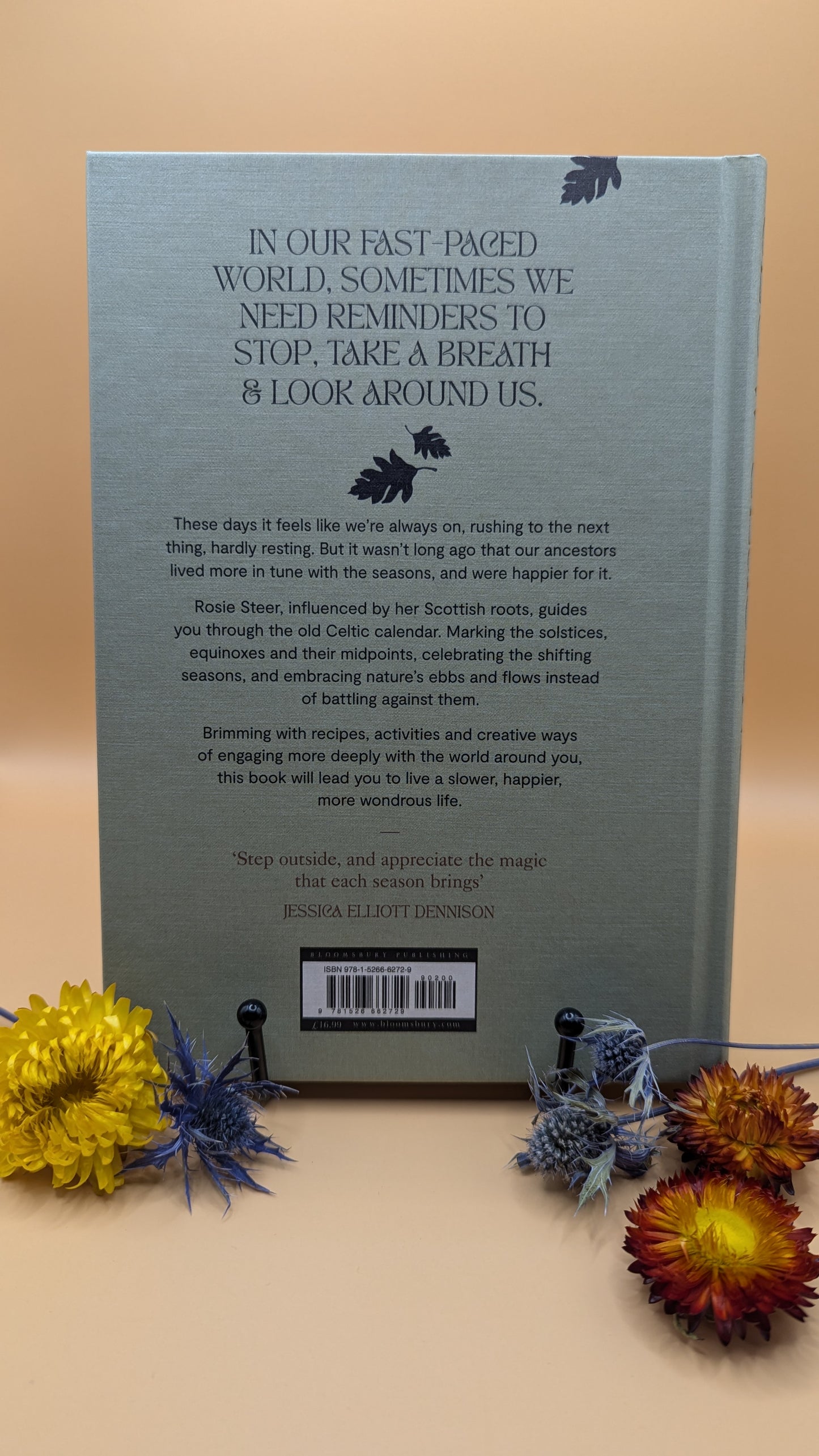 Slow Seasons: A Creative Guide to Reconnecting with Nature the Celtic Way