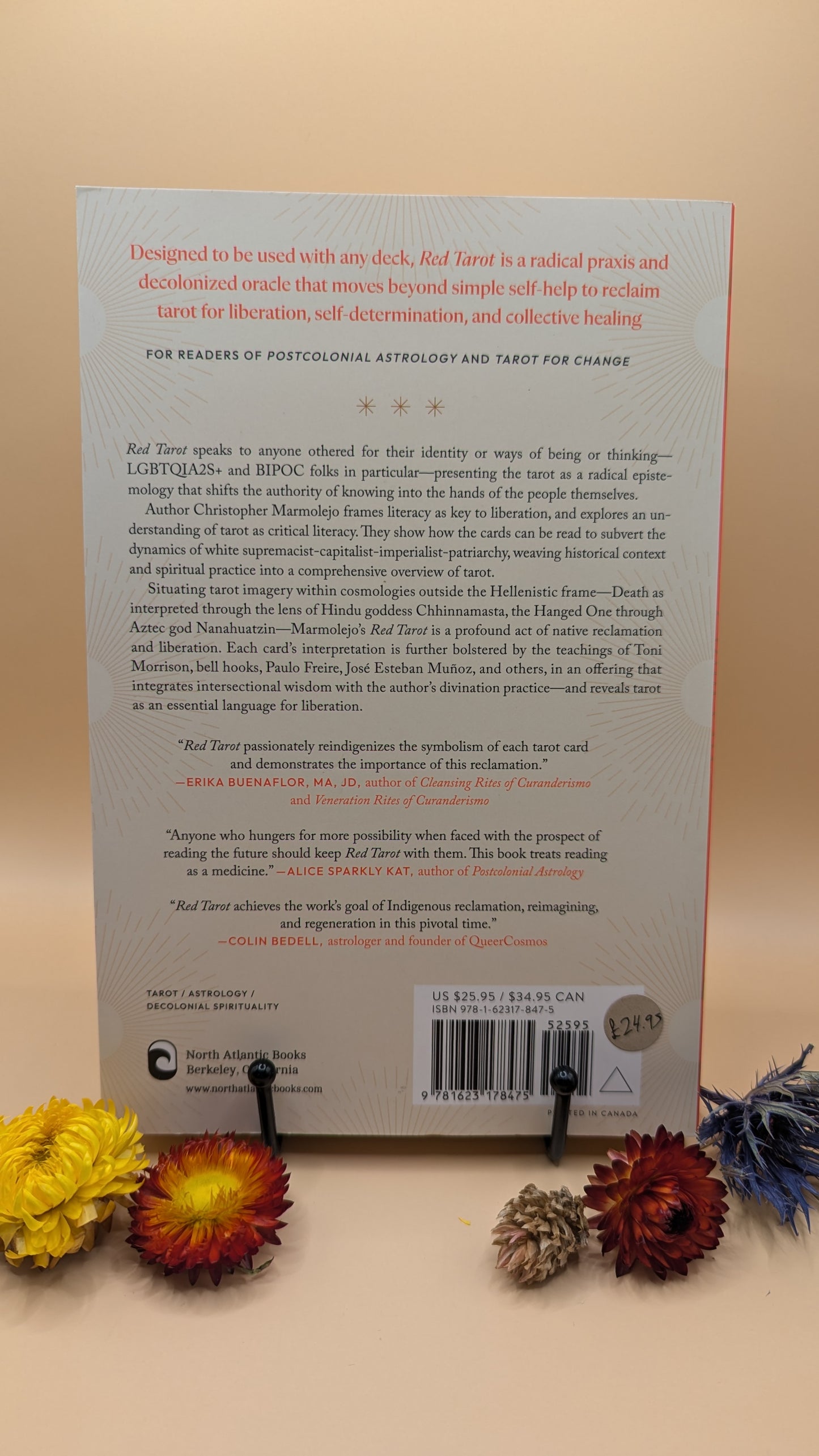 Red Tarot: A Decolonial Guide to Divinatory Literacy