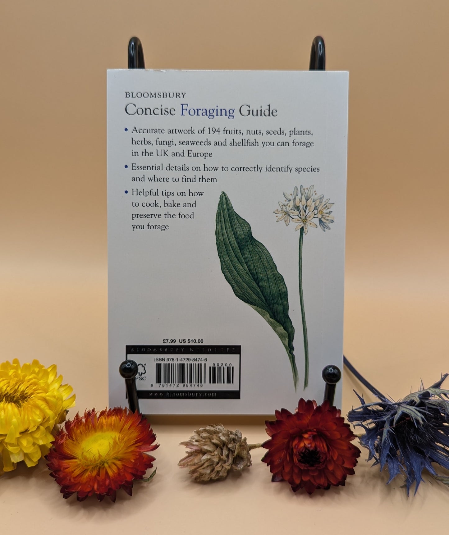 Concise Foraging Guide