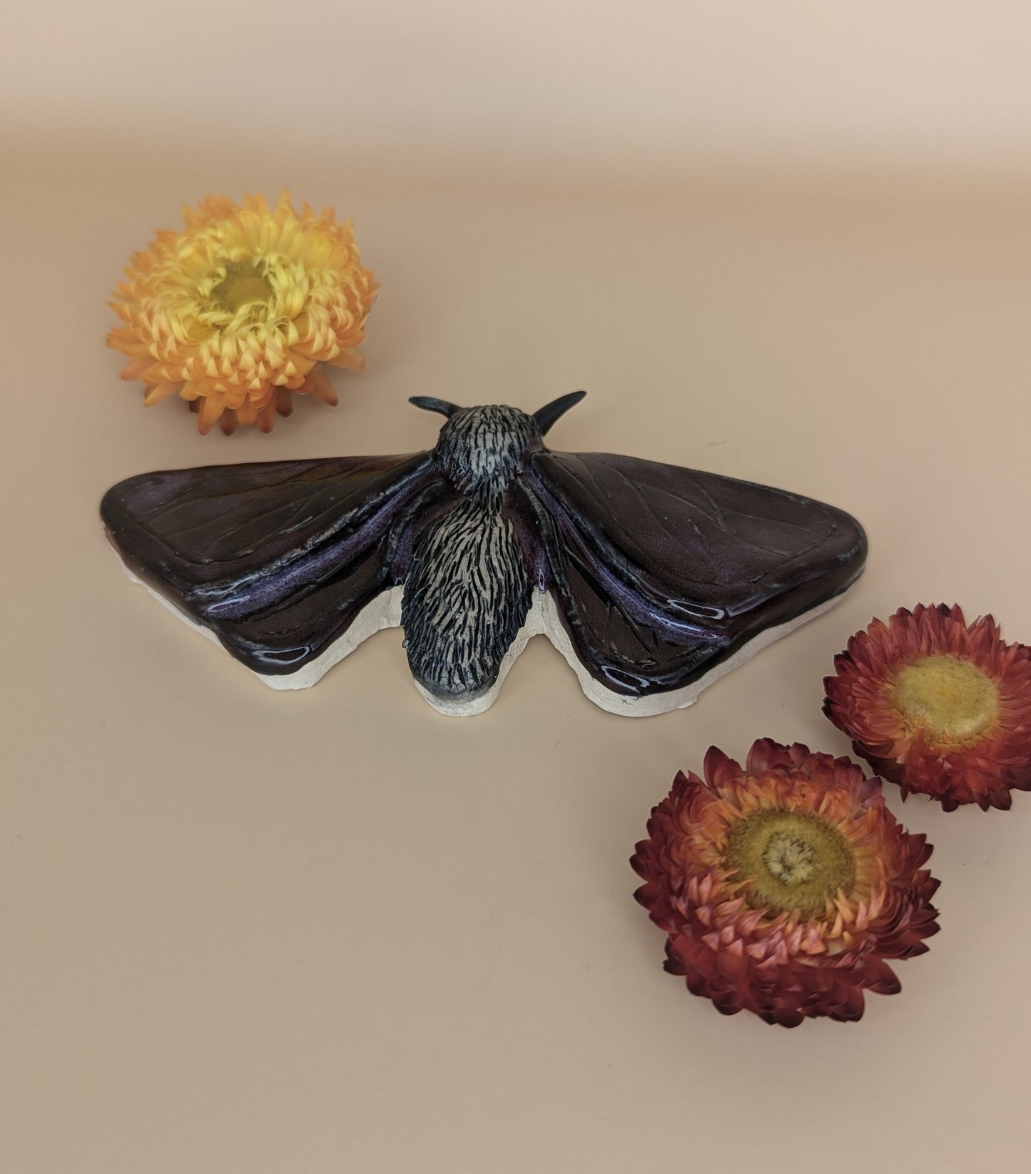 Large Moth Wall Piece by Genuine Quirk