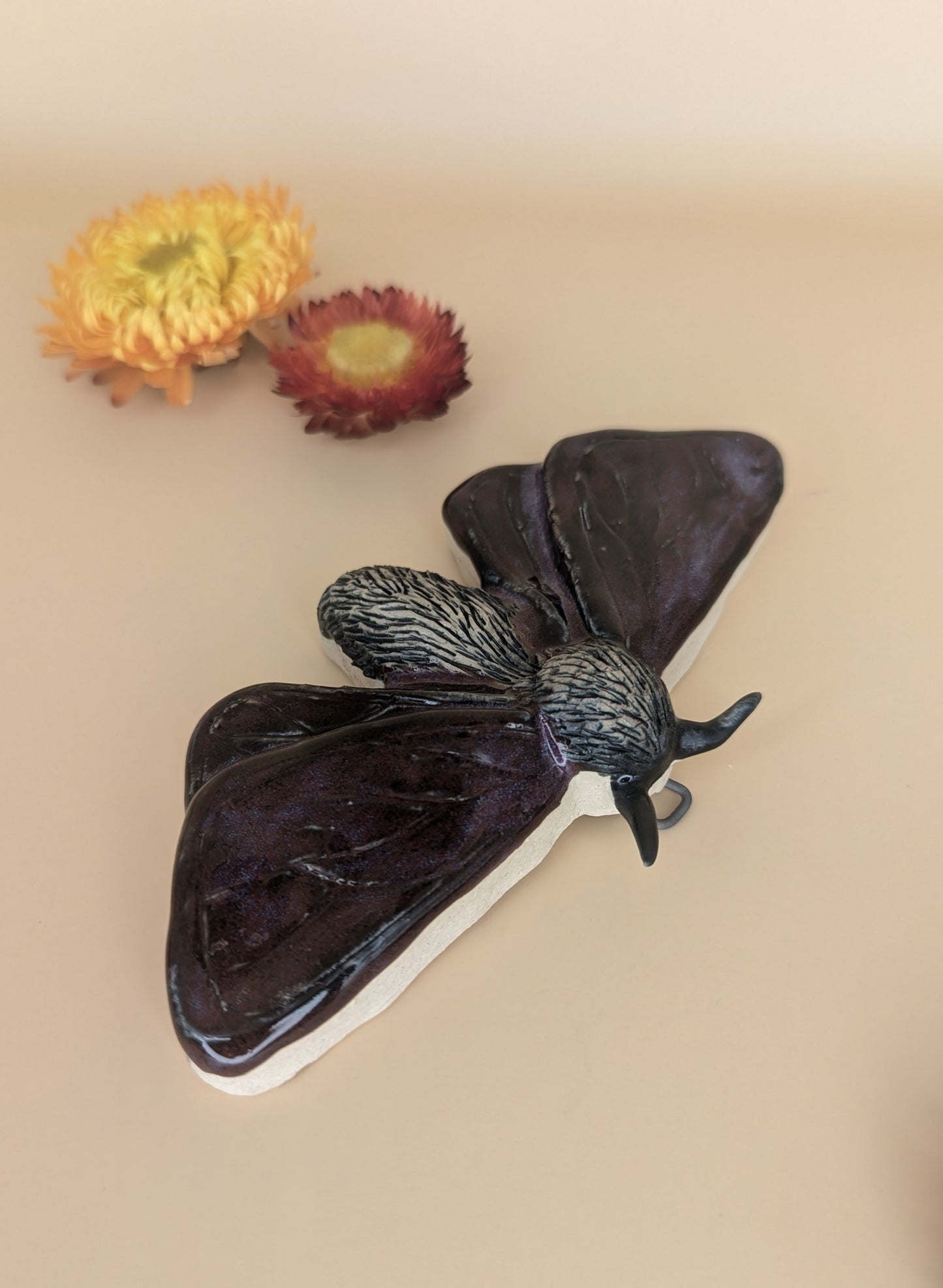 Large Moth Wall Piece by Genuine Quirk
