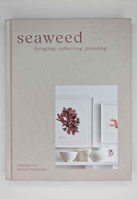Seaweed: Foraging, collecting, pressing