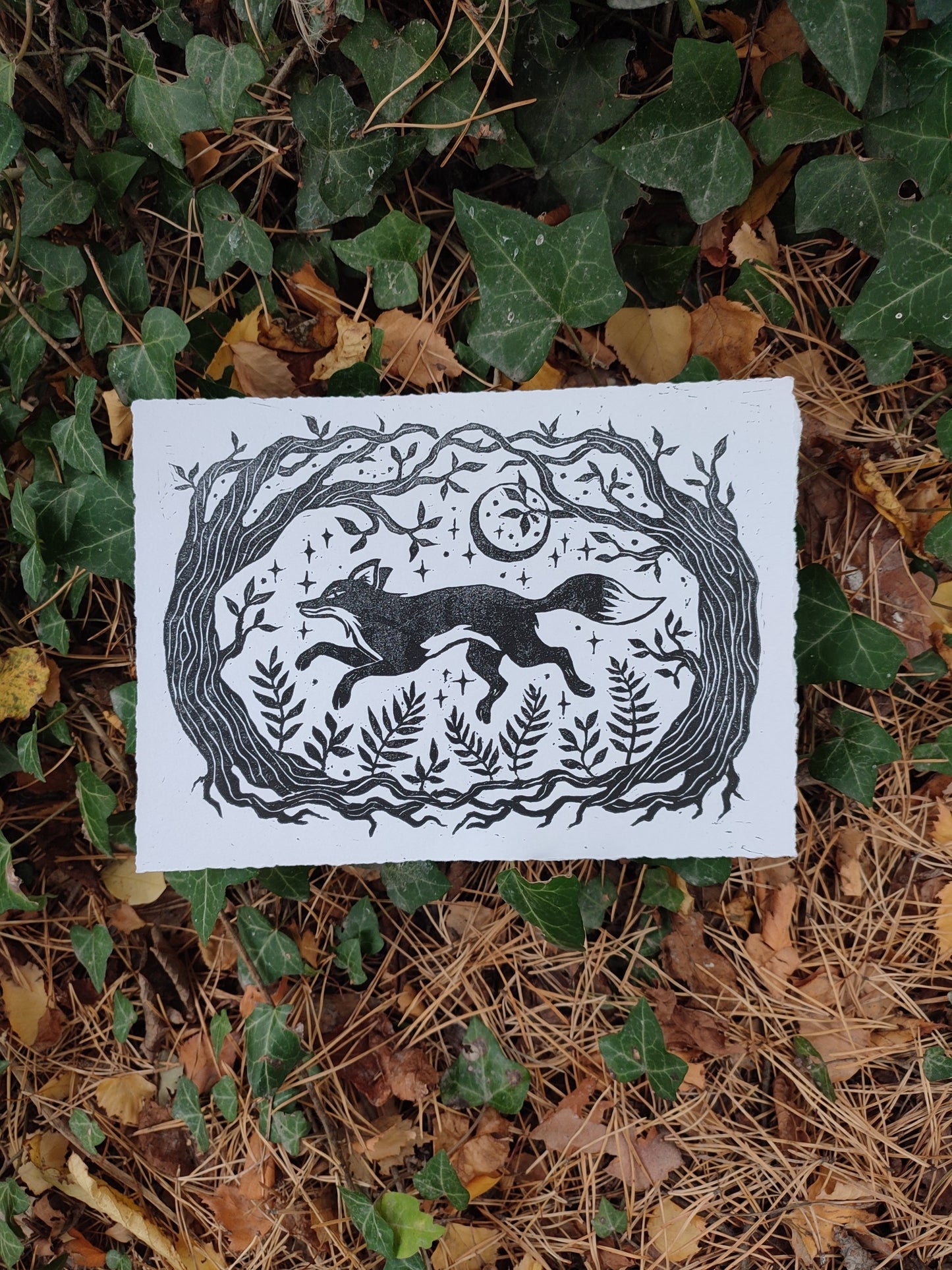 Woodland Fox