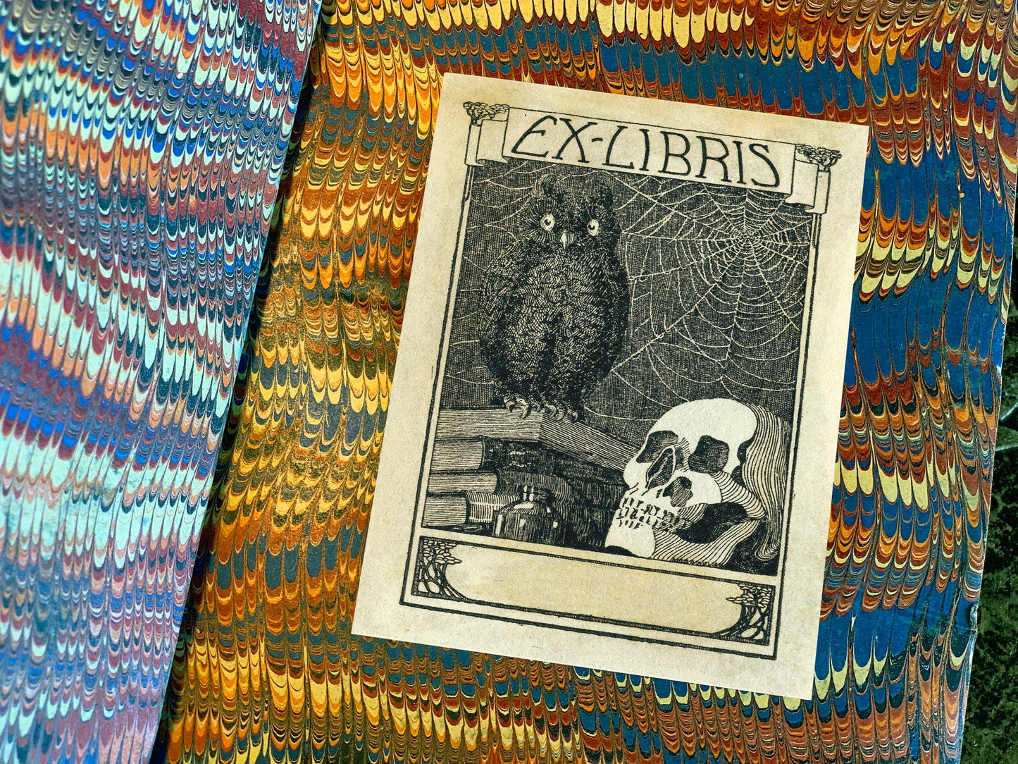 Skull and Owl Bookplate