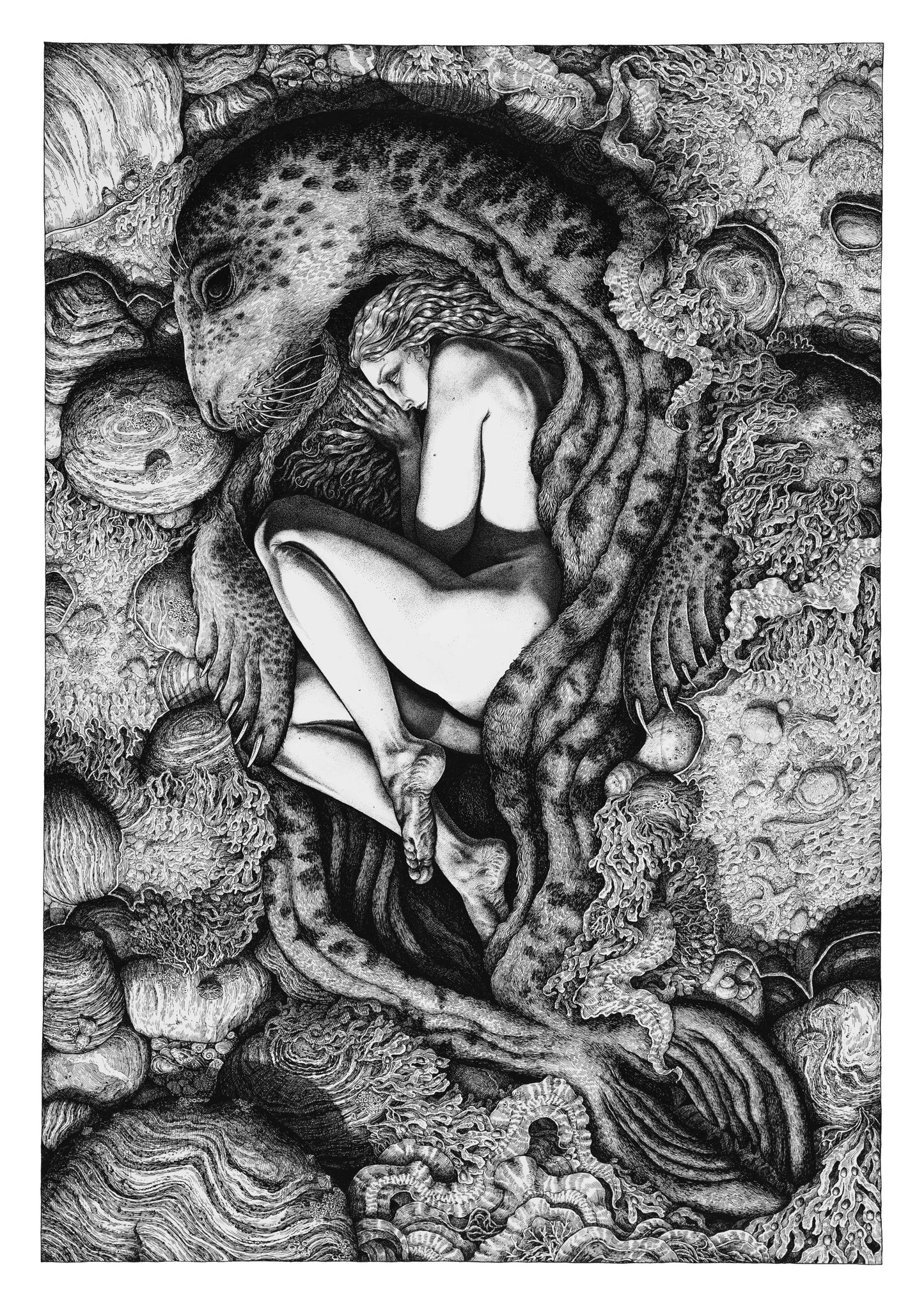 'Tuinn' A3 Print by Hester Aspland