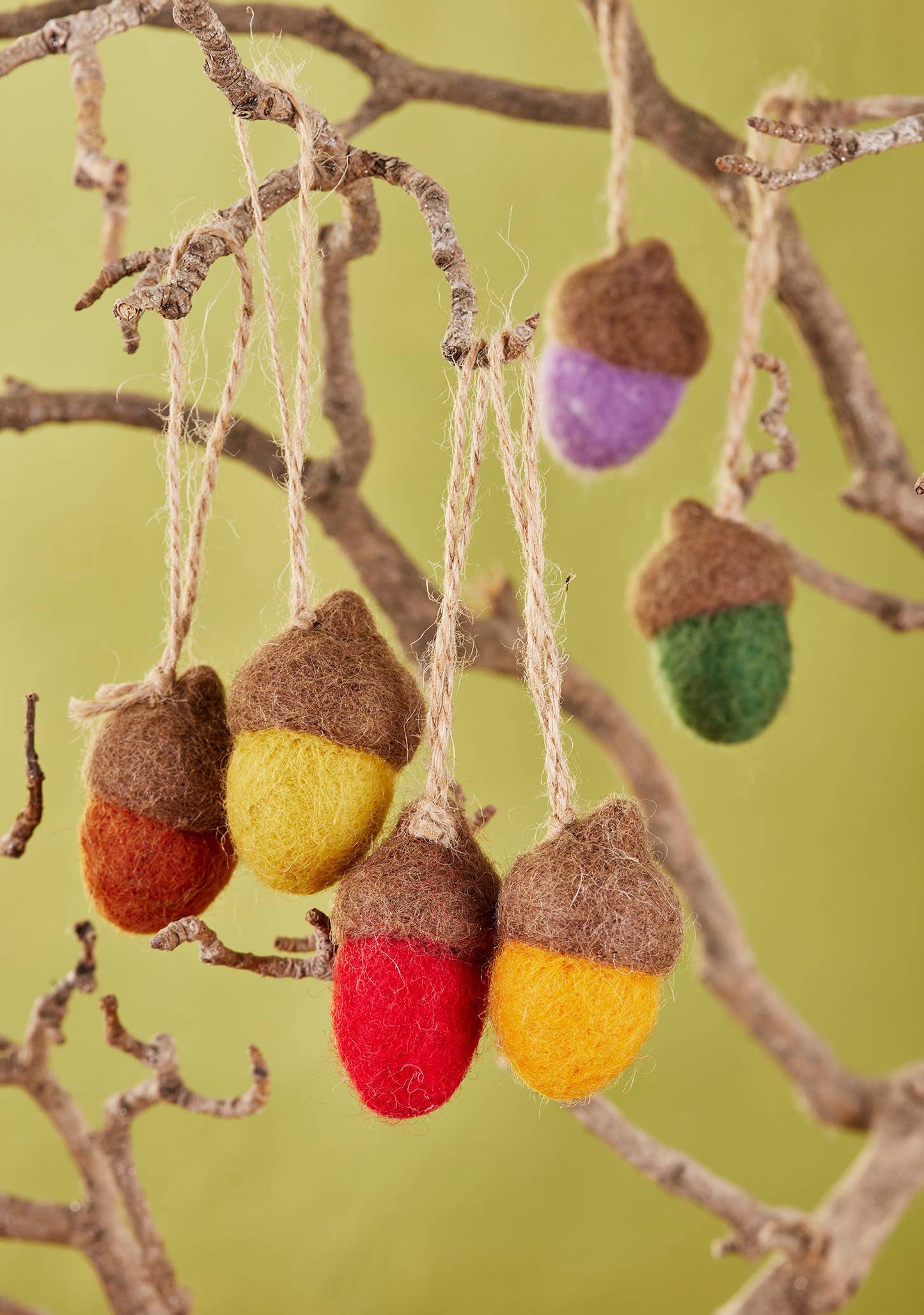 Set of 6 Felt Rainbow Acorn Decorations