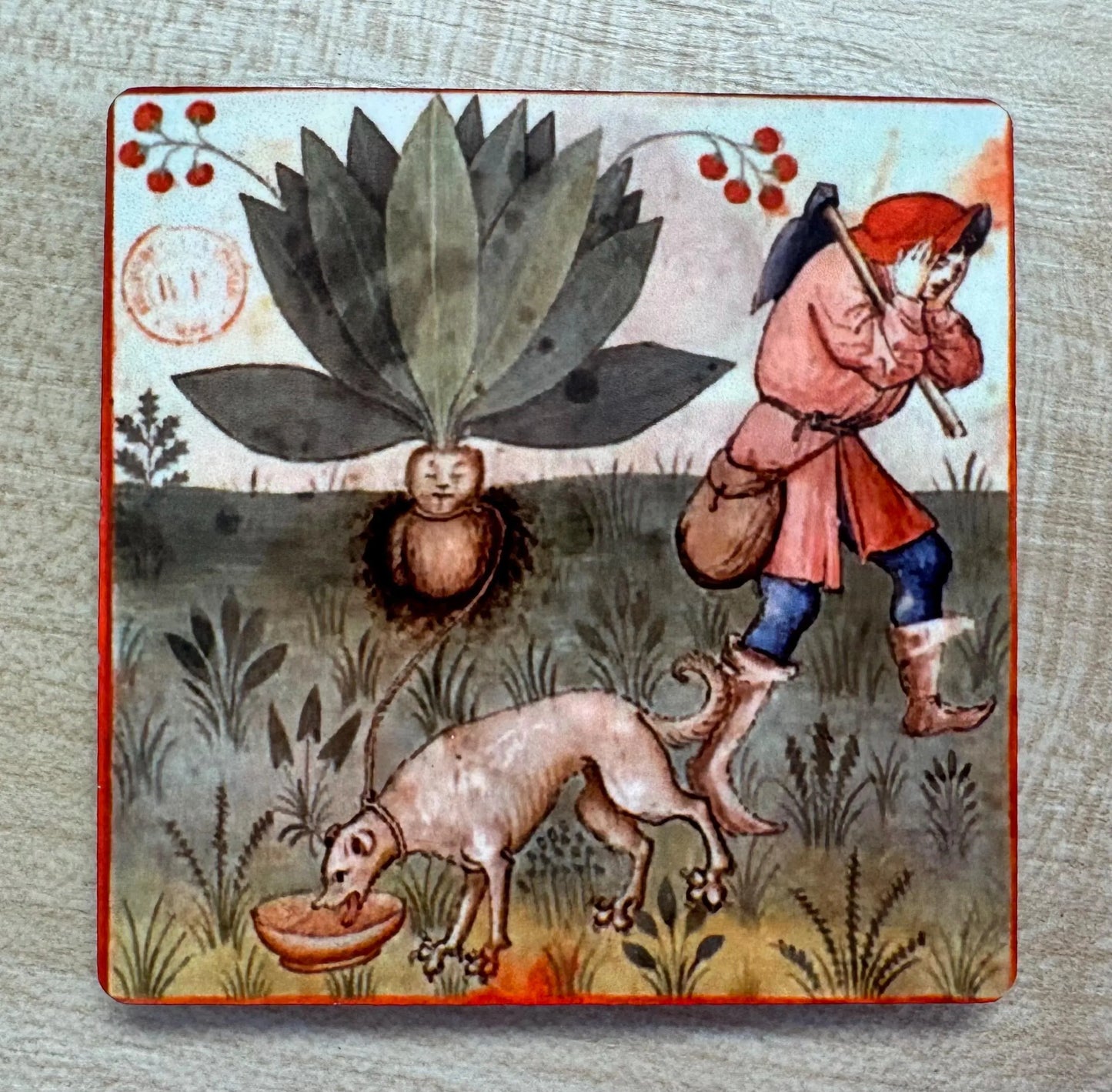 'Medieval Mandrake & Dog' Fridge Magnet