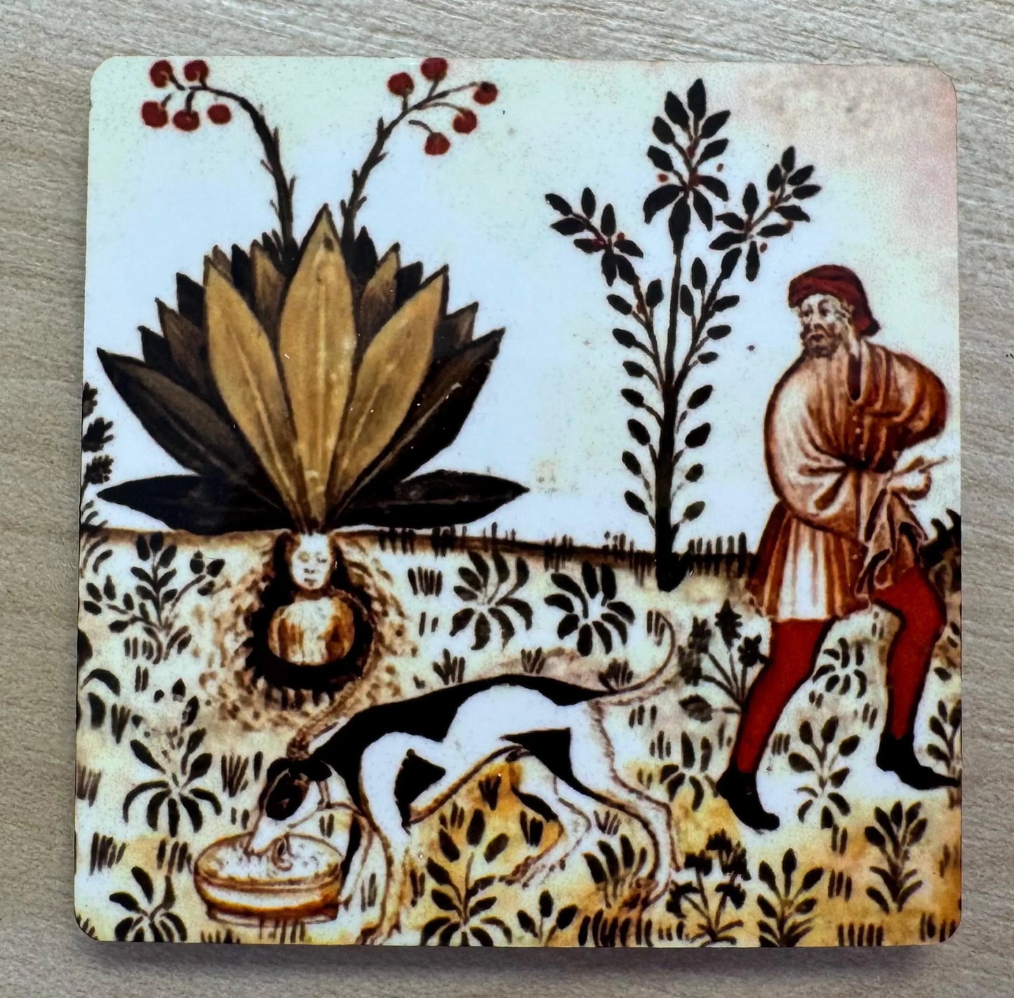 'Medieval Mandrake & Black & White Dog' Fridge Magnet