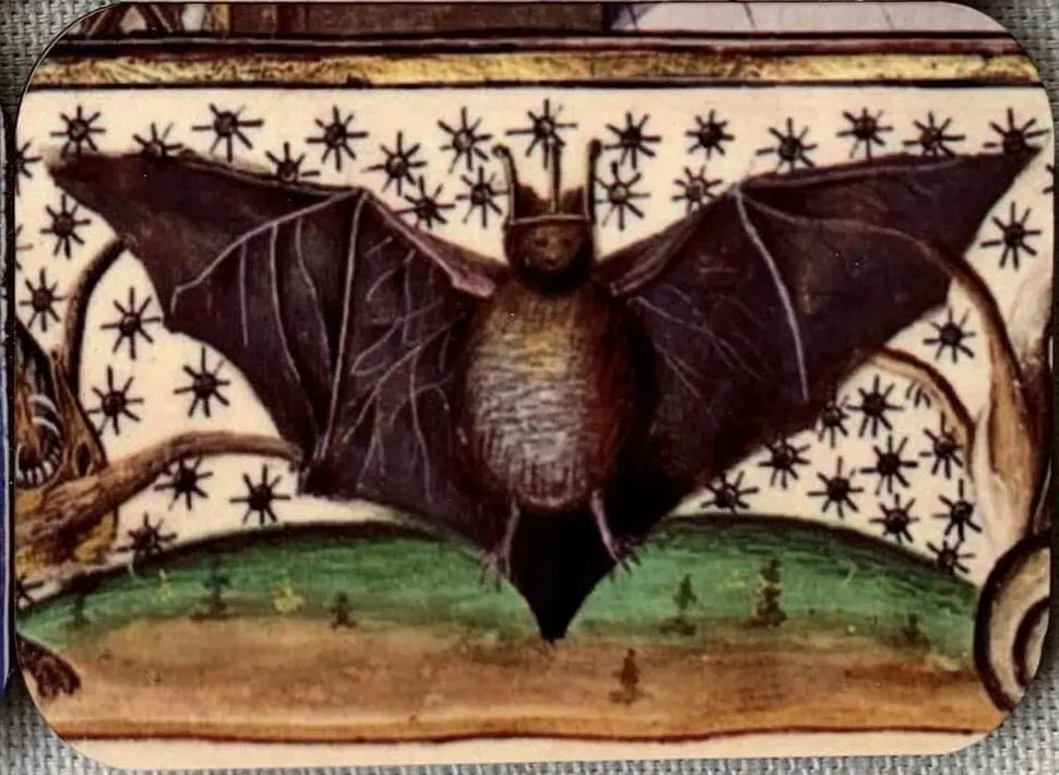 'Medieval Bat with Starry Background' Fridge Magnet