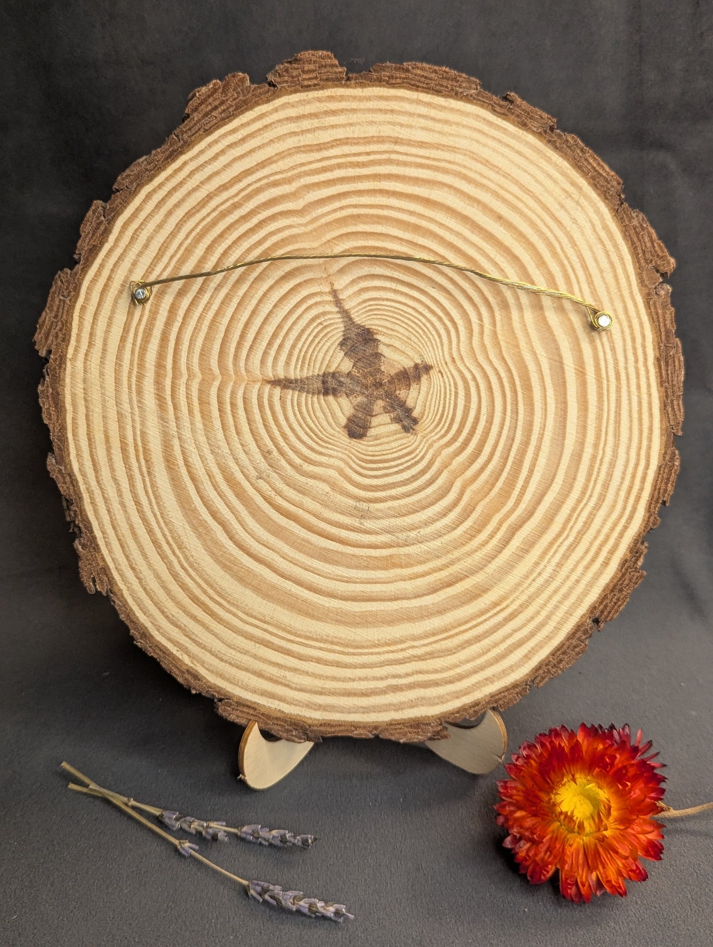 'Punkie Night' Pyrography by Lydia Carter