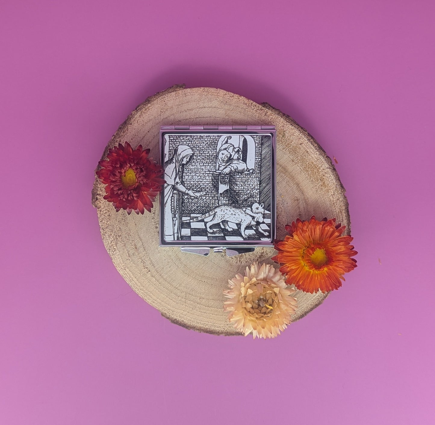 'Penis Stealing Cat' Compact Mirror