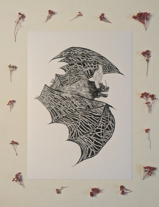 "Bat" Print by Theo Cleary