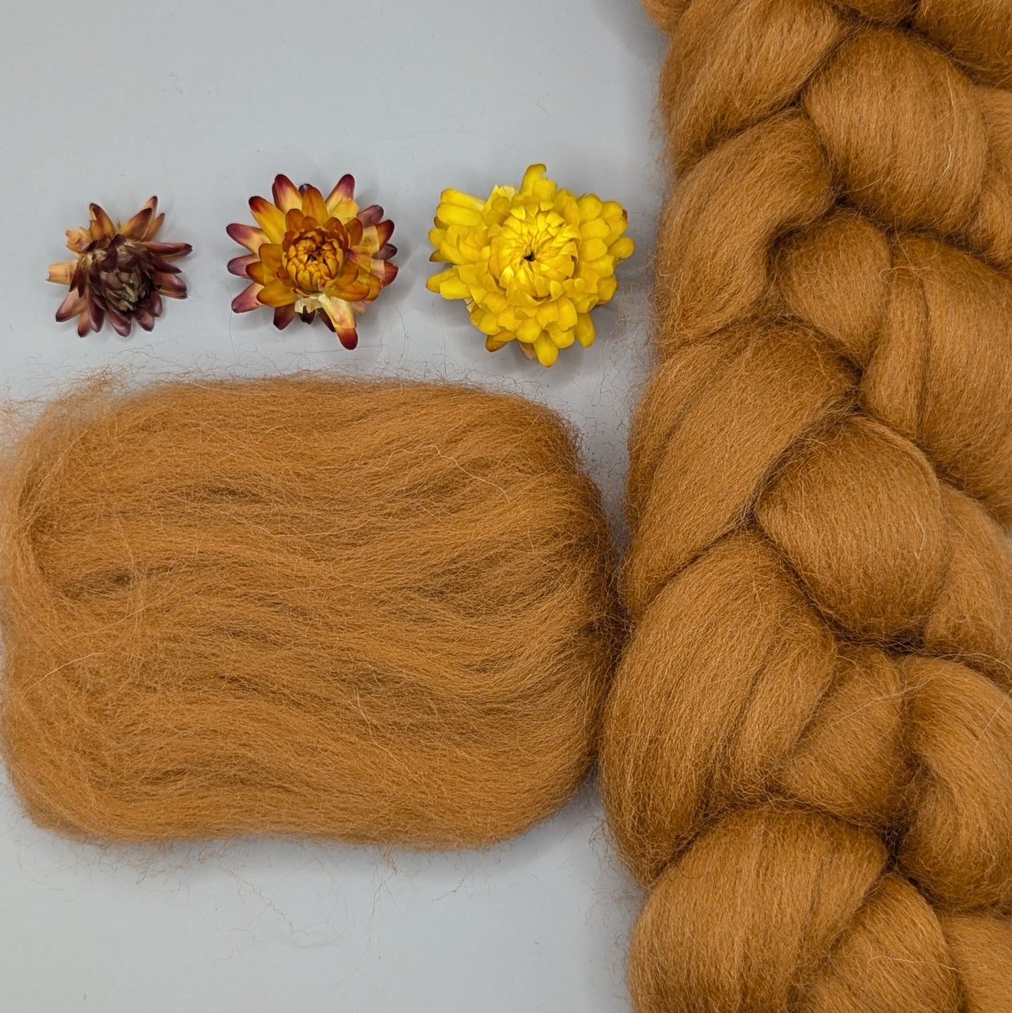 Dyed Shetland Combed Tops 50g