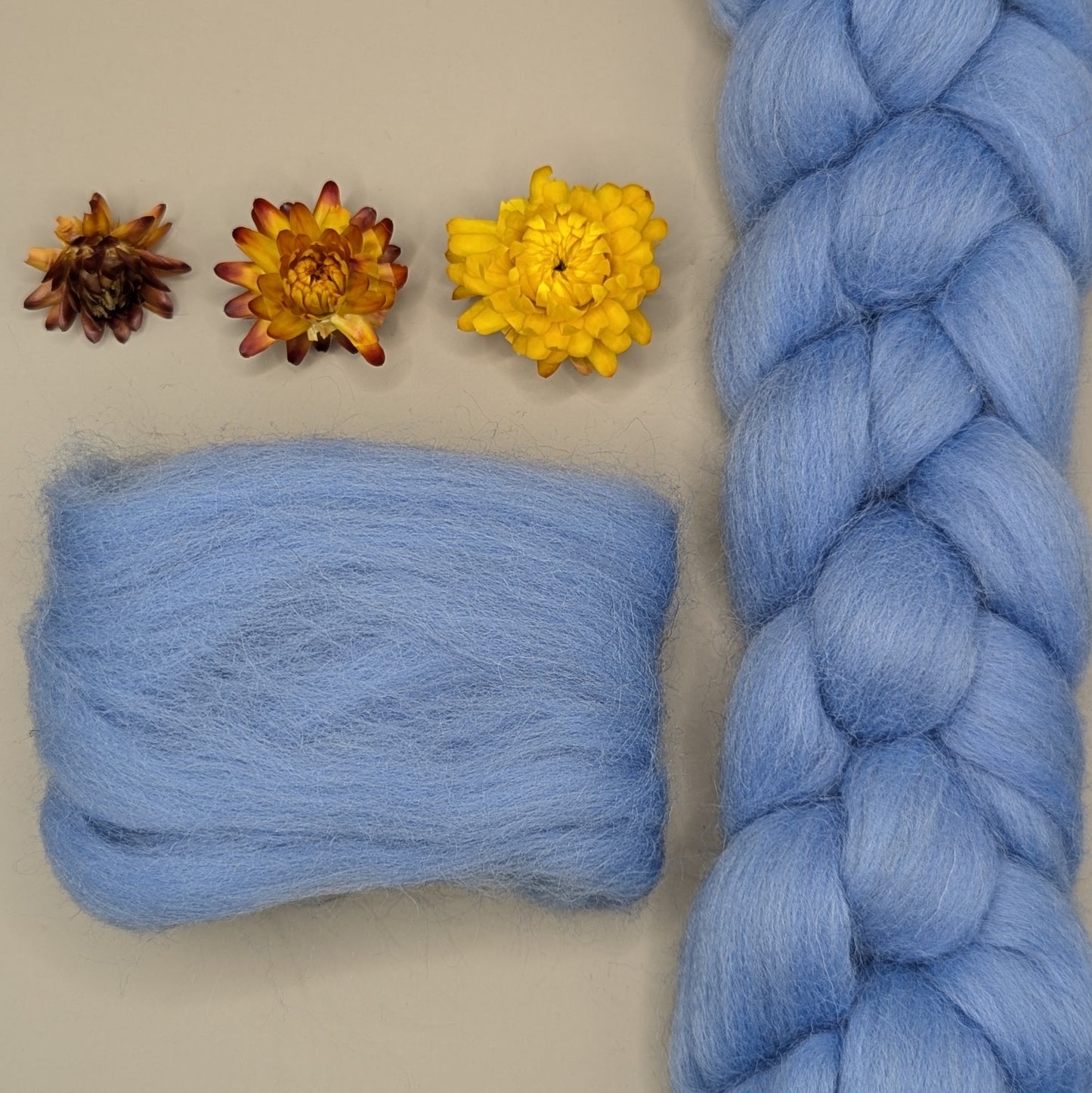 Dyed Shetland Combed Tops 50g