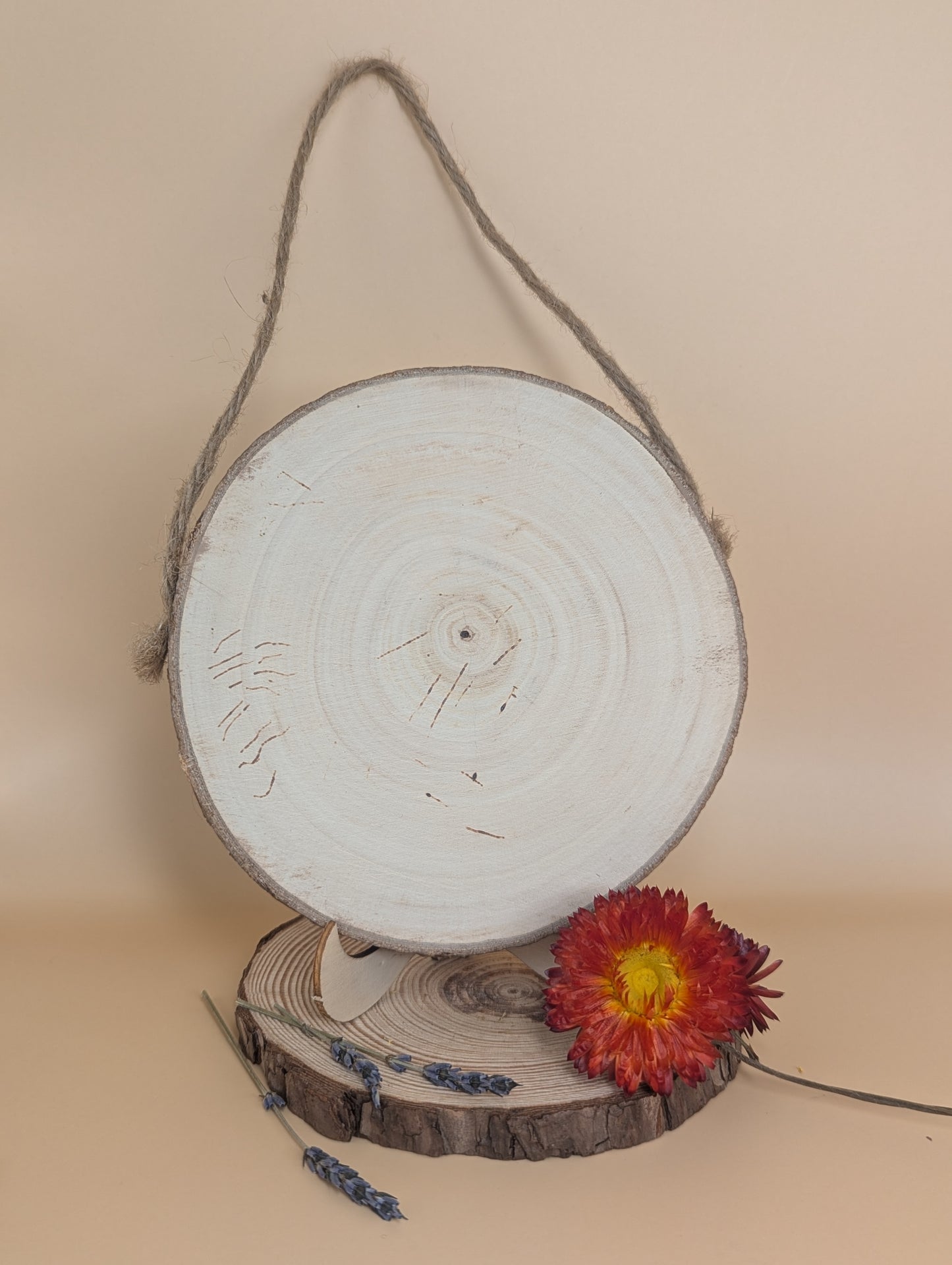 Garlic Plait Pyrography by Lydia Carter