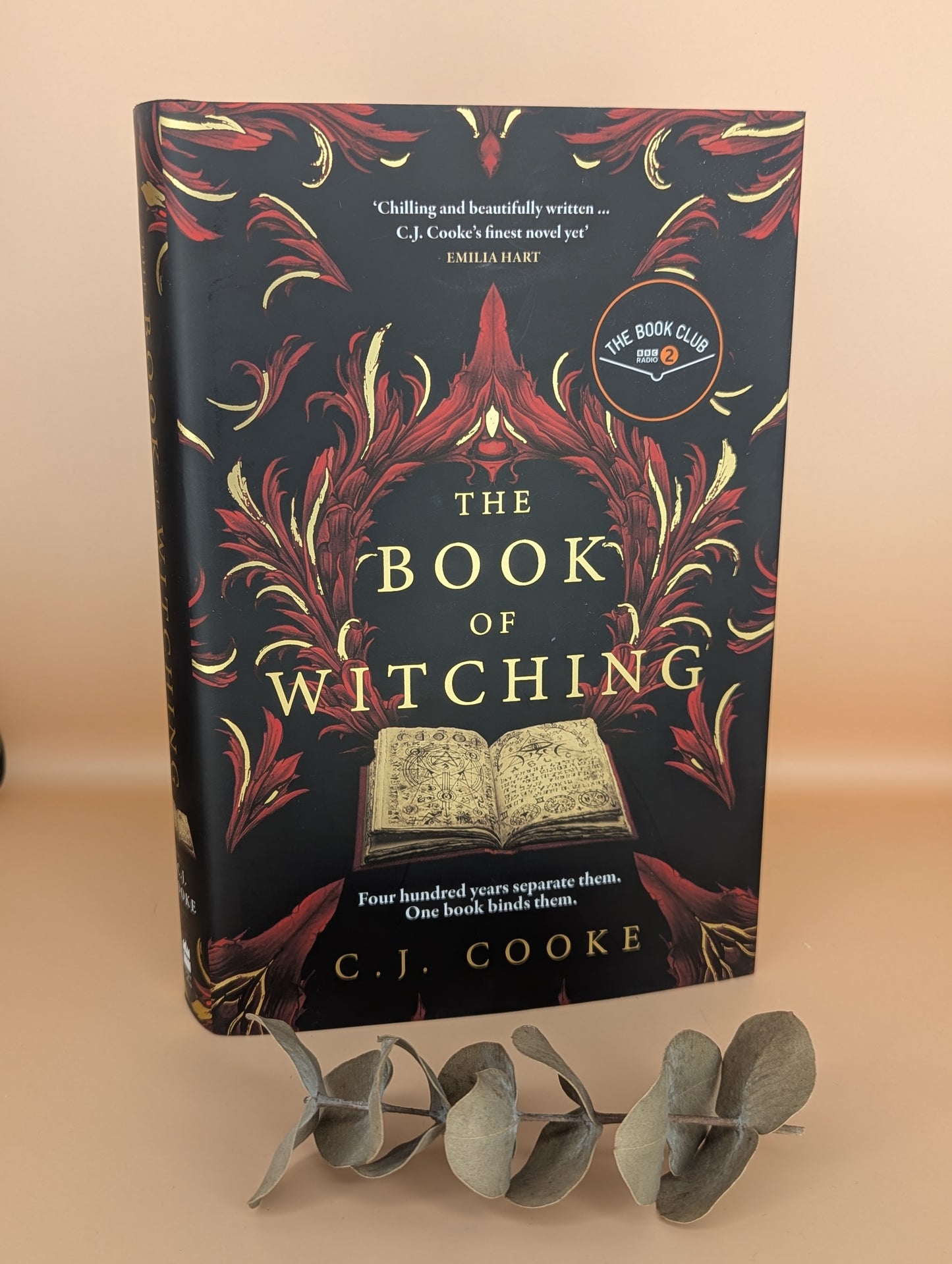 The Book of Witching