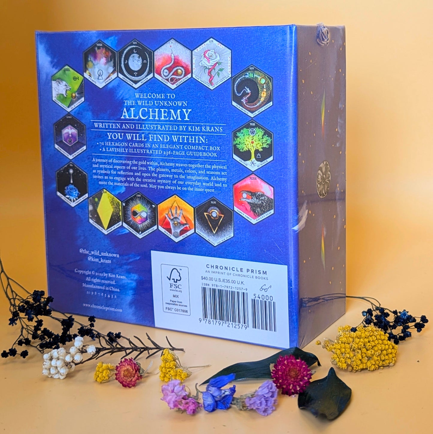 The Wild Unknown Alchemy Deck and Guidebook