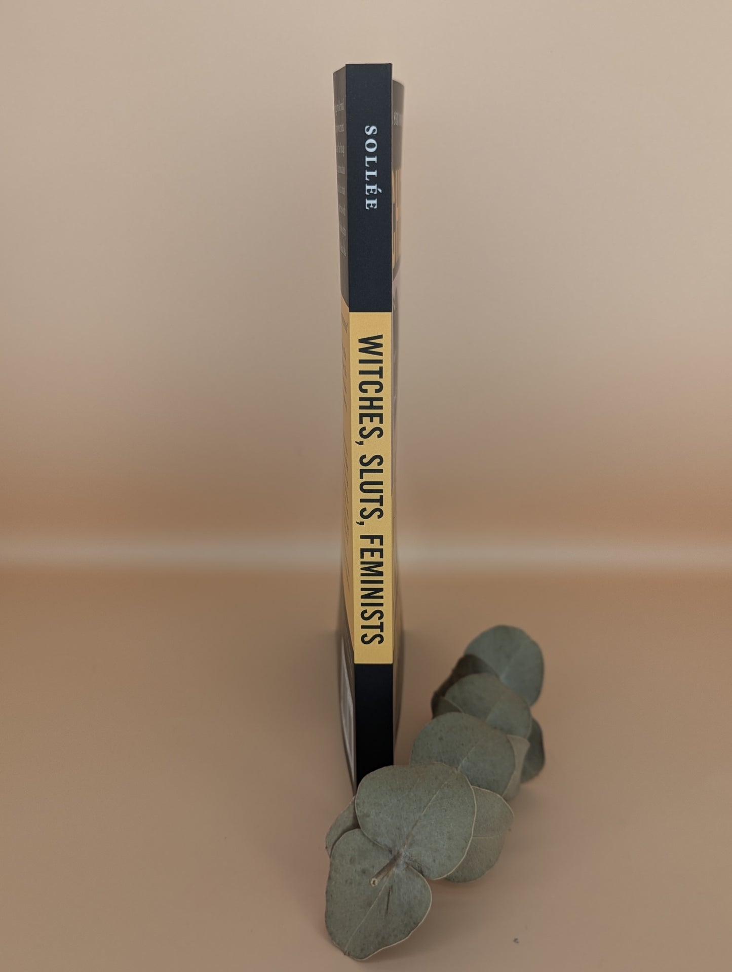 Witches, Sluts, Feminists