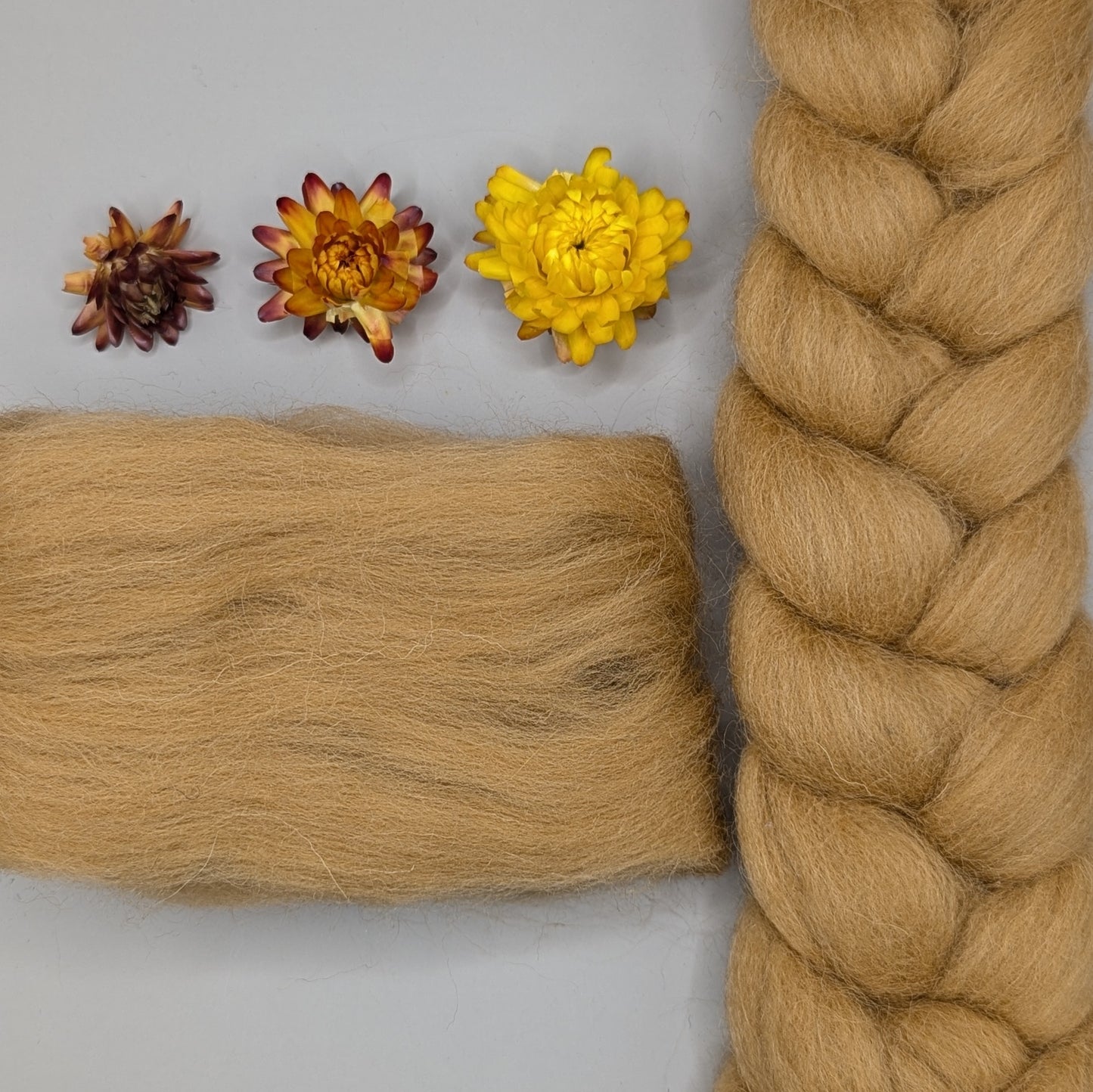 Dyed Shetland Combed Tops 50g