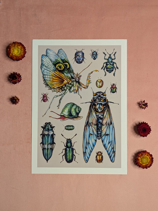 Pastel Insects