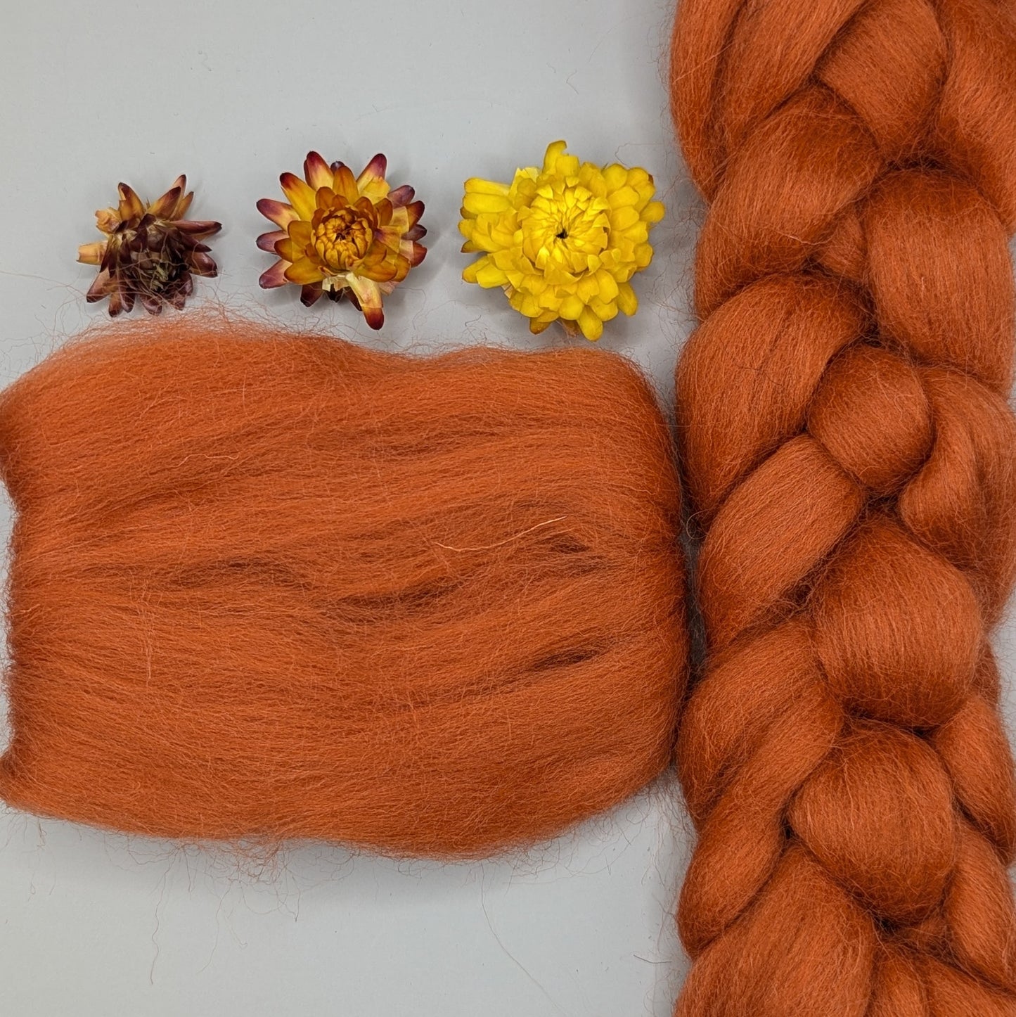 Dyed Shetland Combed Tops 50g