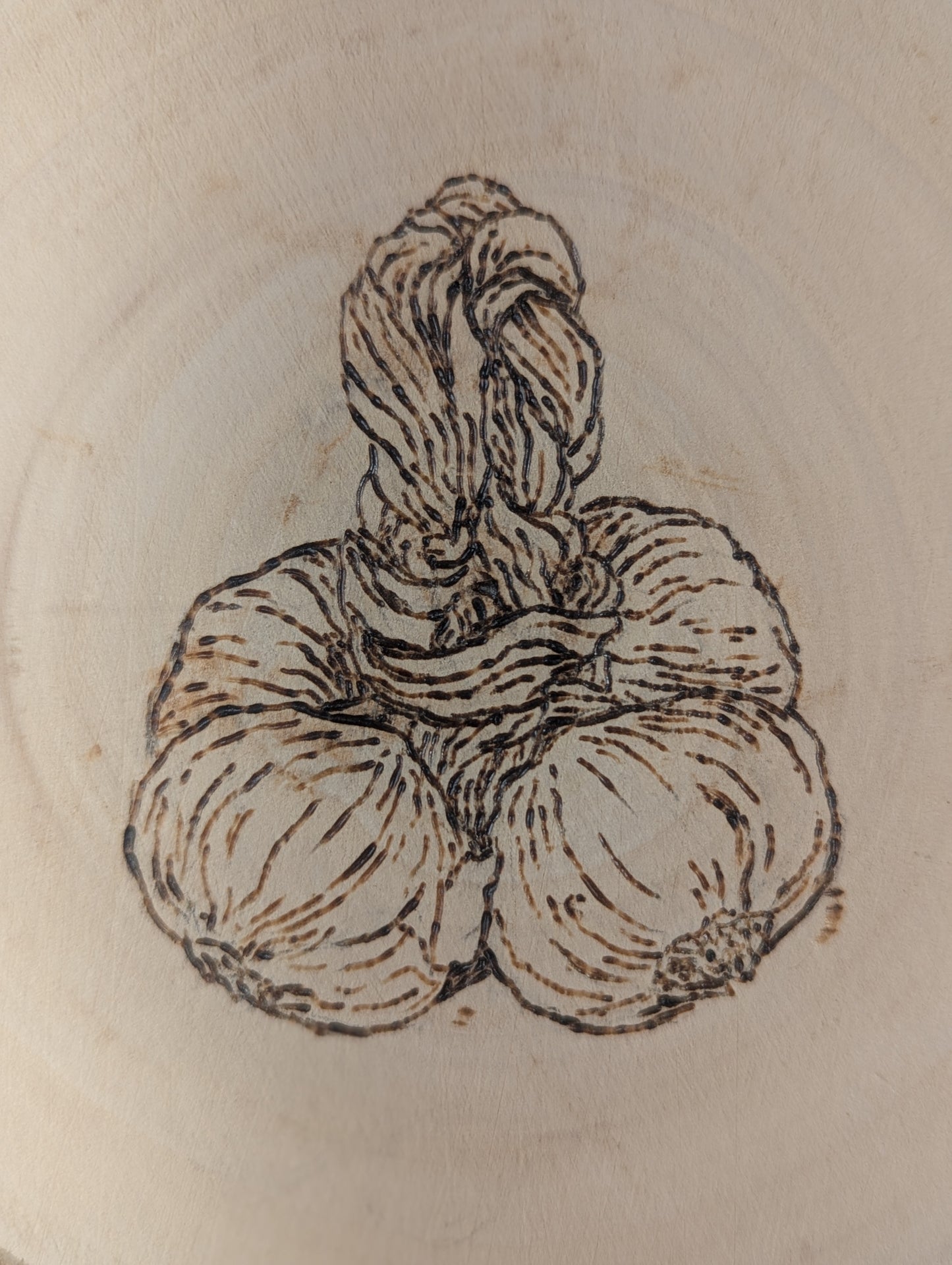 Garlic Plait Pyrography by Lydia Carter