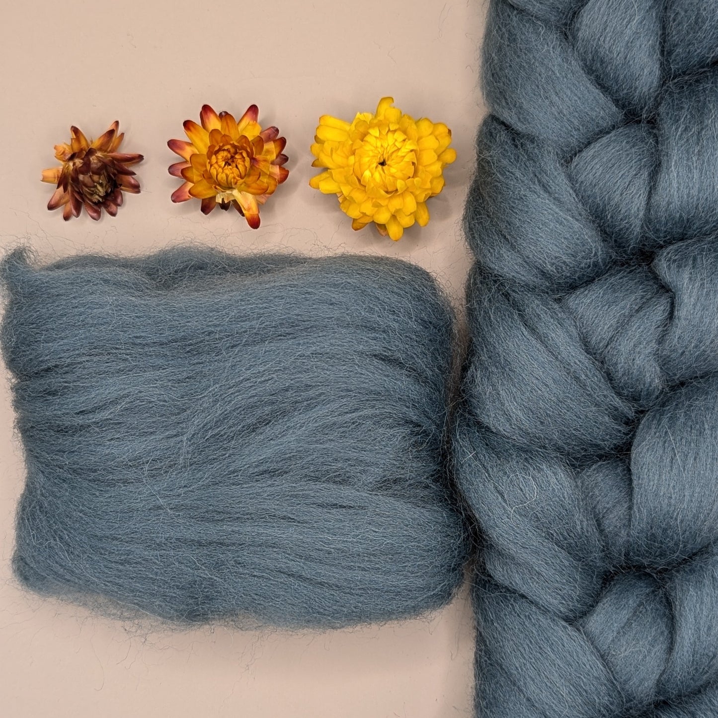 Dyed Shetland Combed Tops 50g