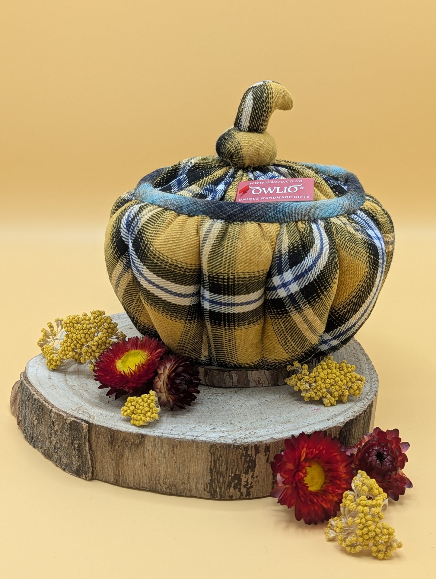 Medium Pumpkin Container