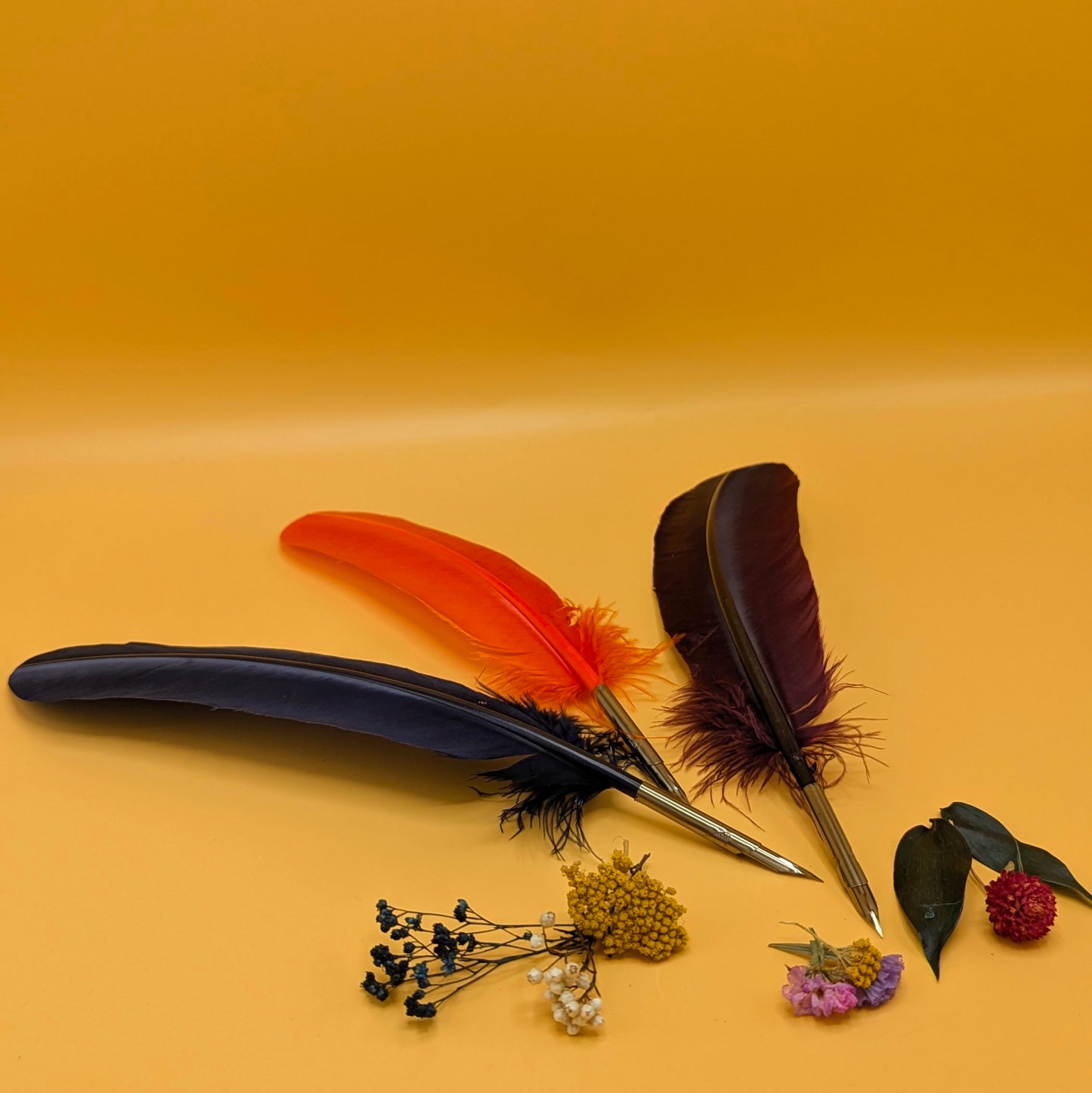 Feather Quill Pen