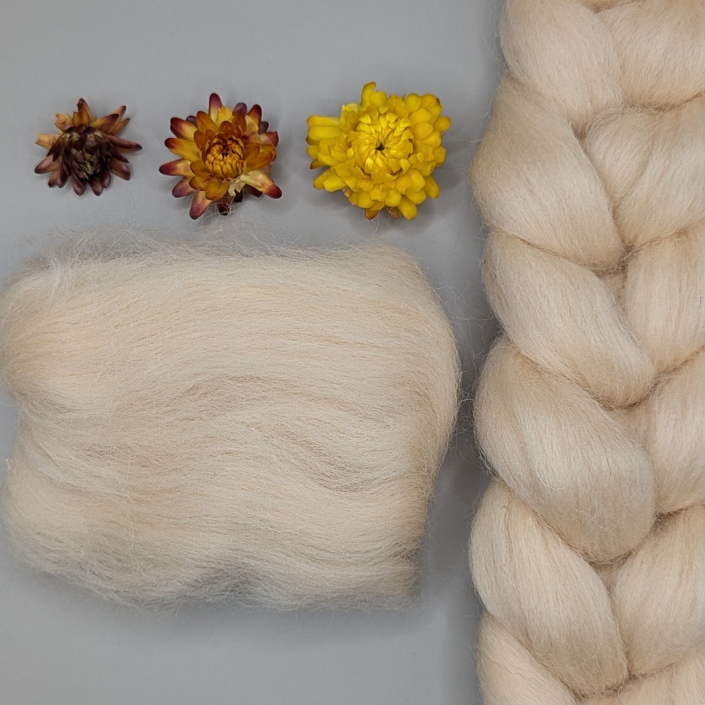 Dyed Shetland Combed Tops 50g