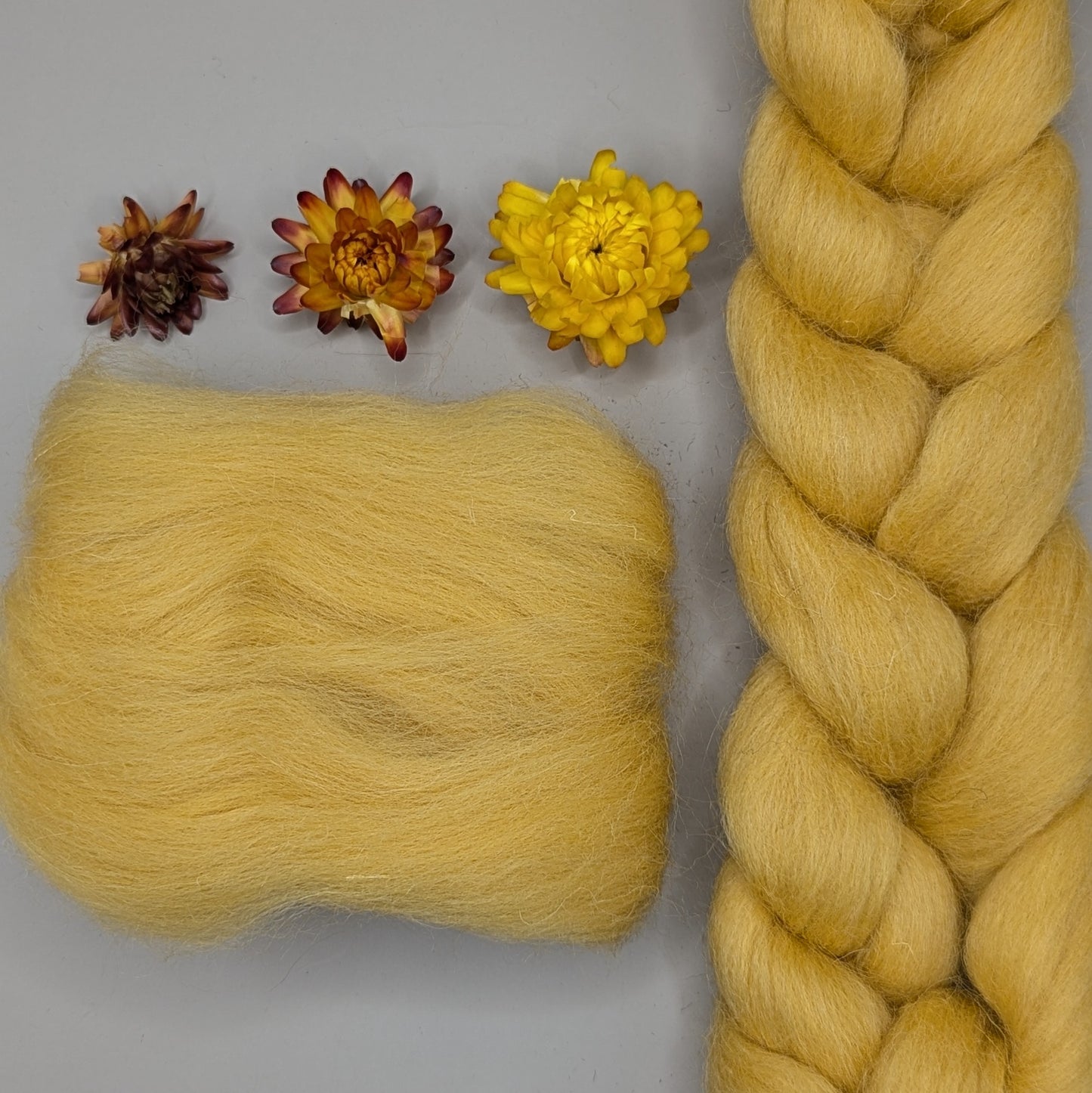 Dyed Shetland Combed Tops 50g