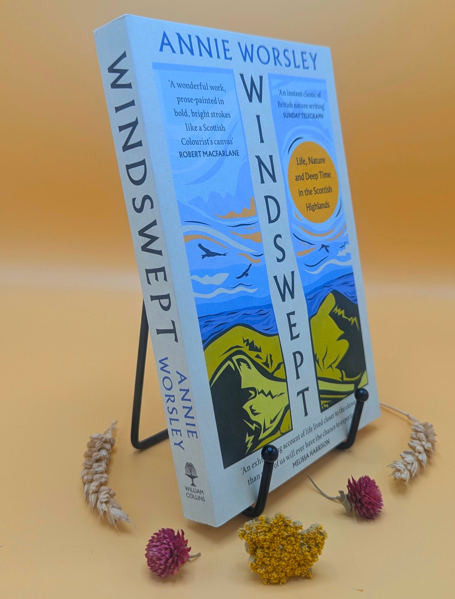 Windswept: Life, Nature and Deep Time in The Scottish Highlands