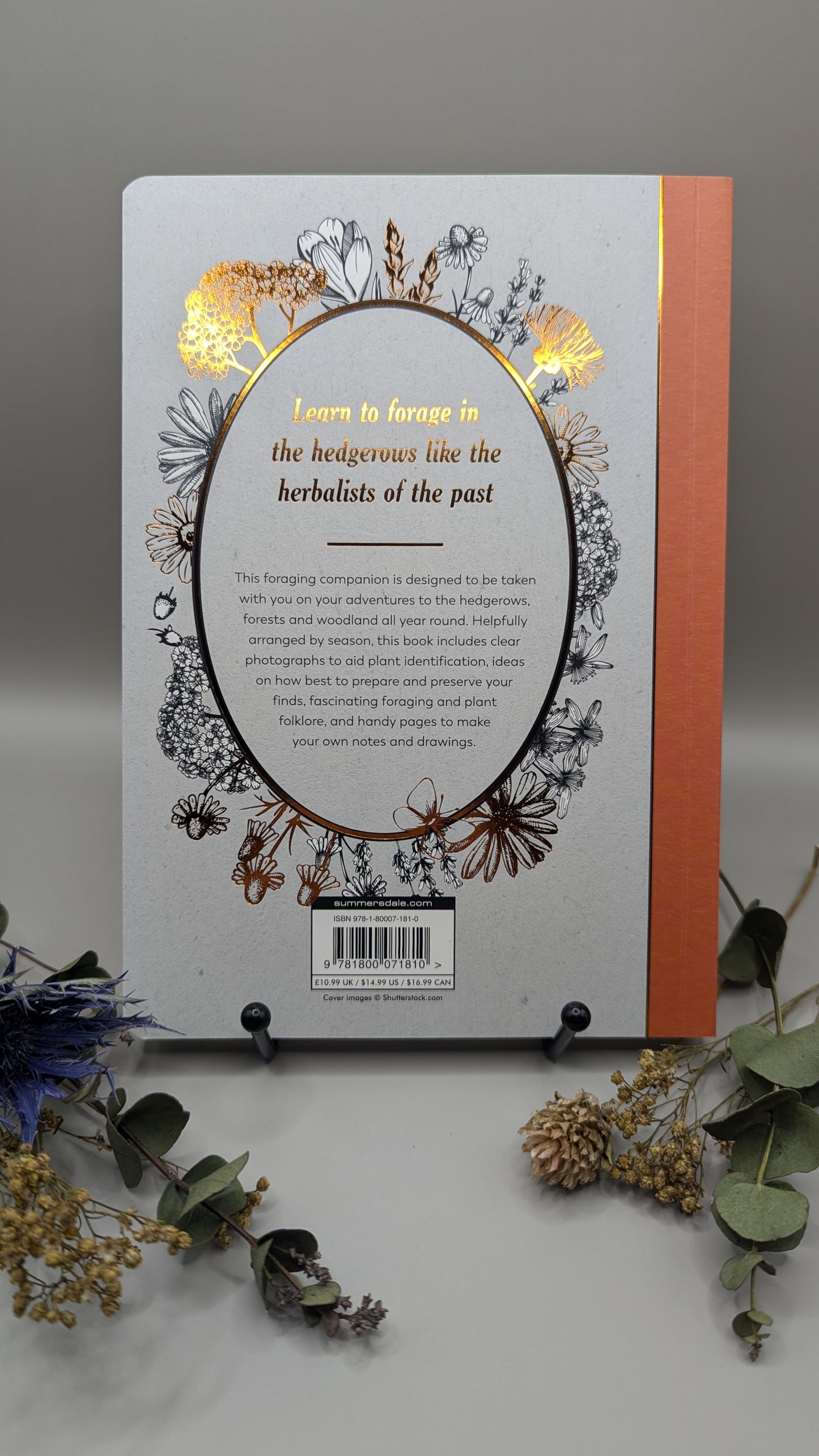 The Hedgerow Apothecary Forager’s Handbook