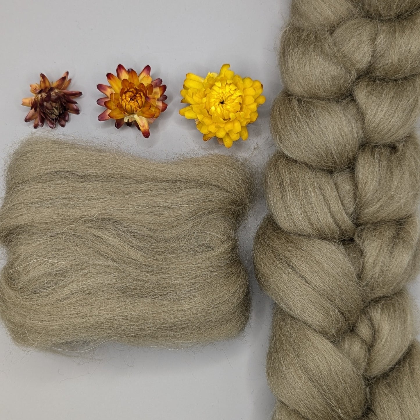 Dyed Shetland Combed Tops 50g