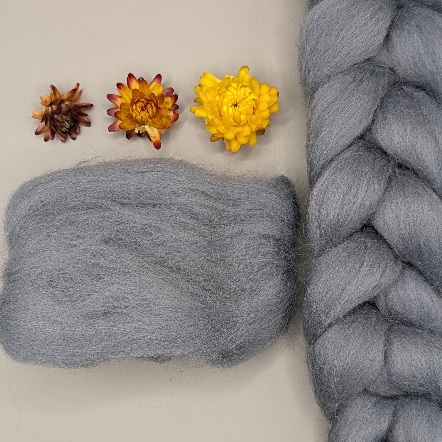 Dyed Shetland Combed Tops 50g