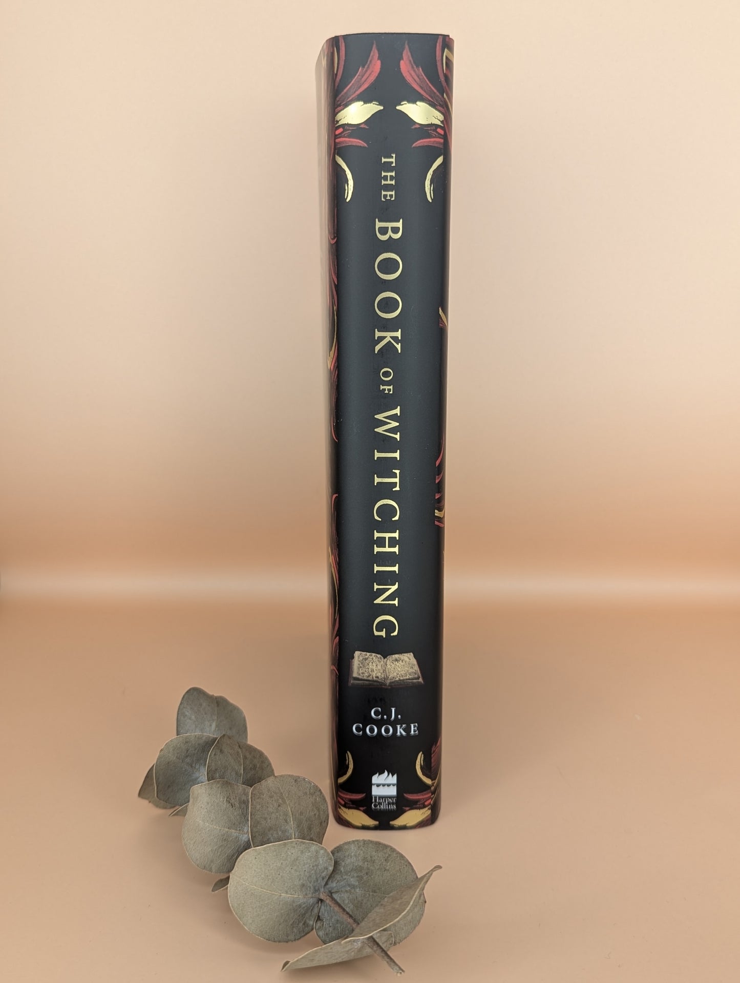 The Book of Witching