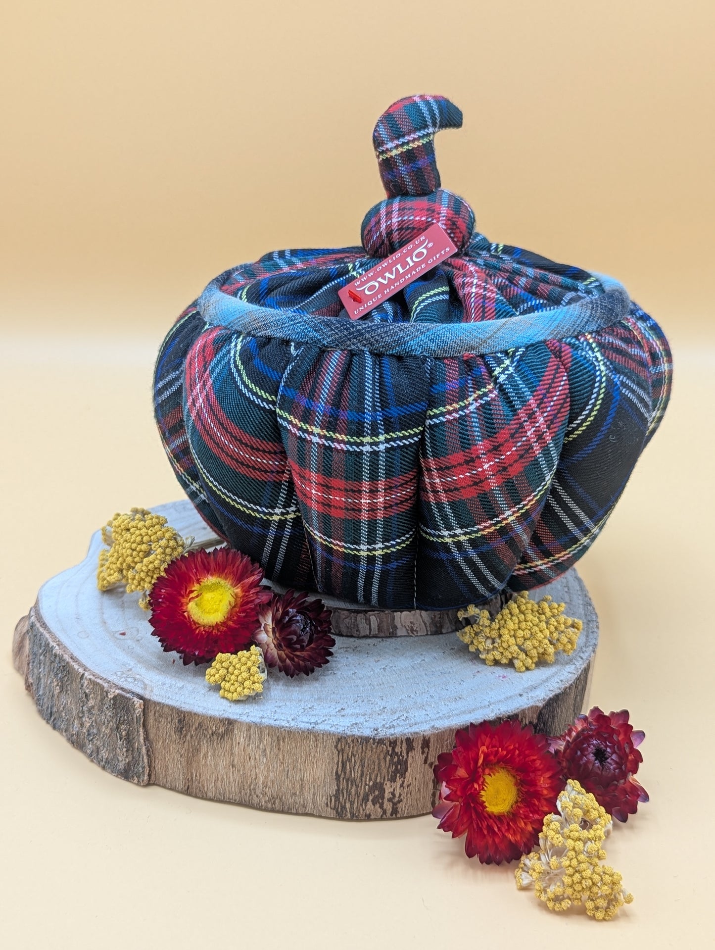 Large Pumpkin Container