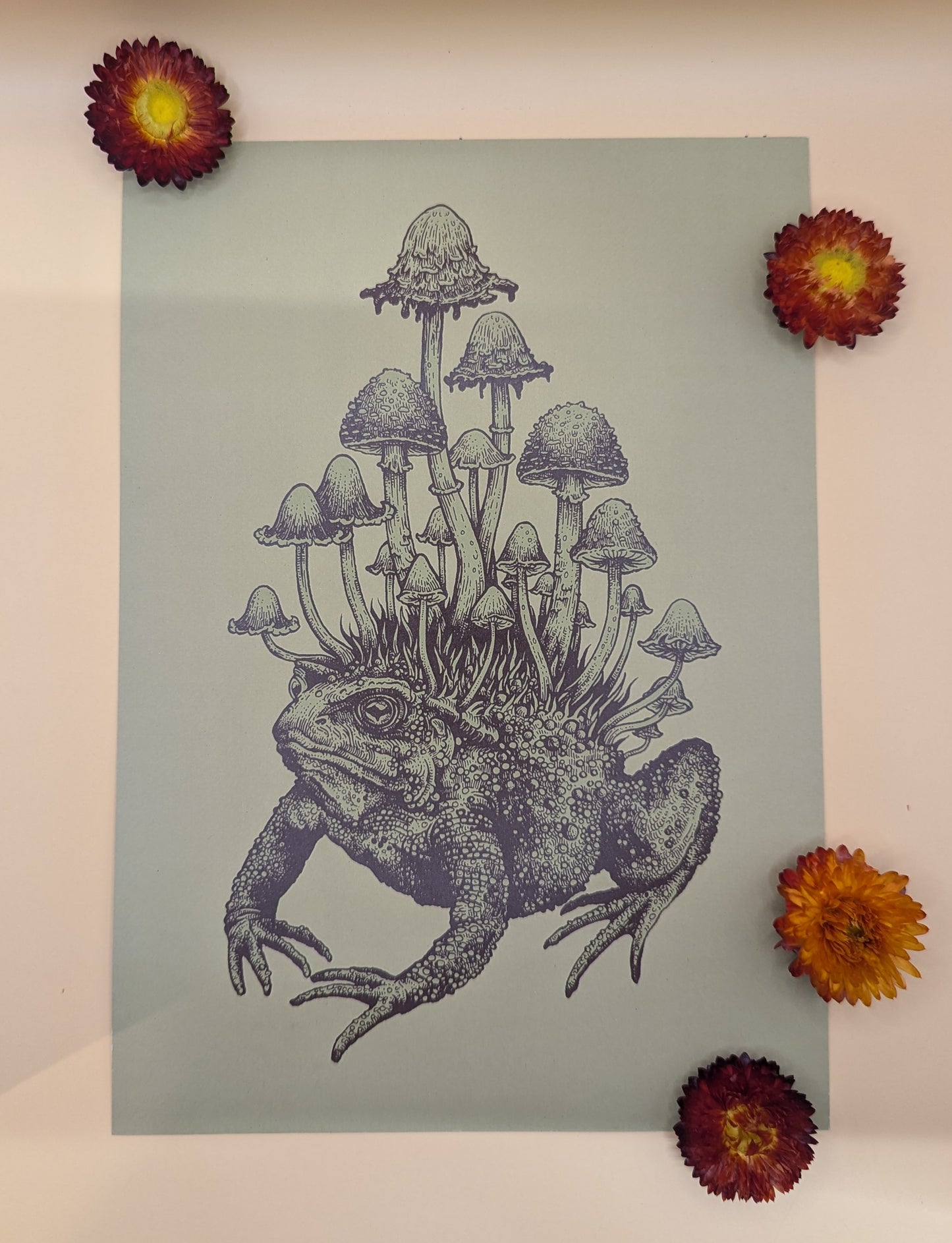 "Toad" by Hester Aspland - 220mm x 255mm Print