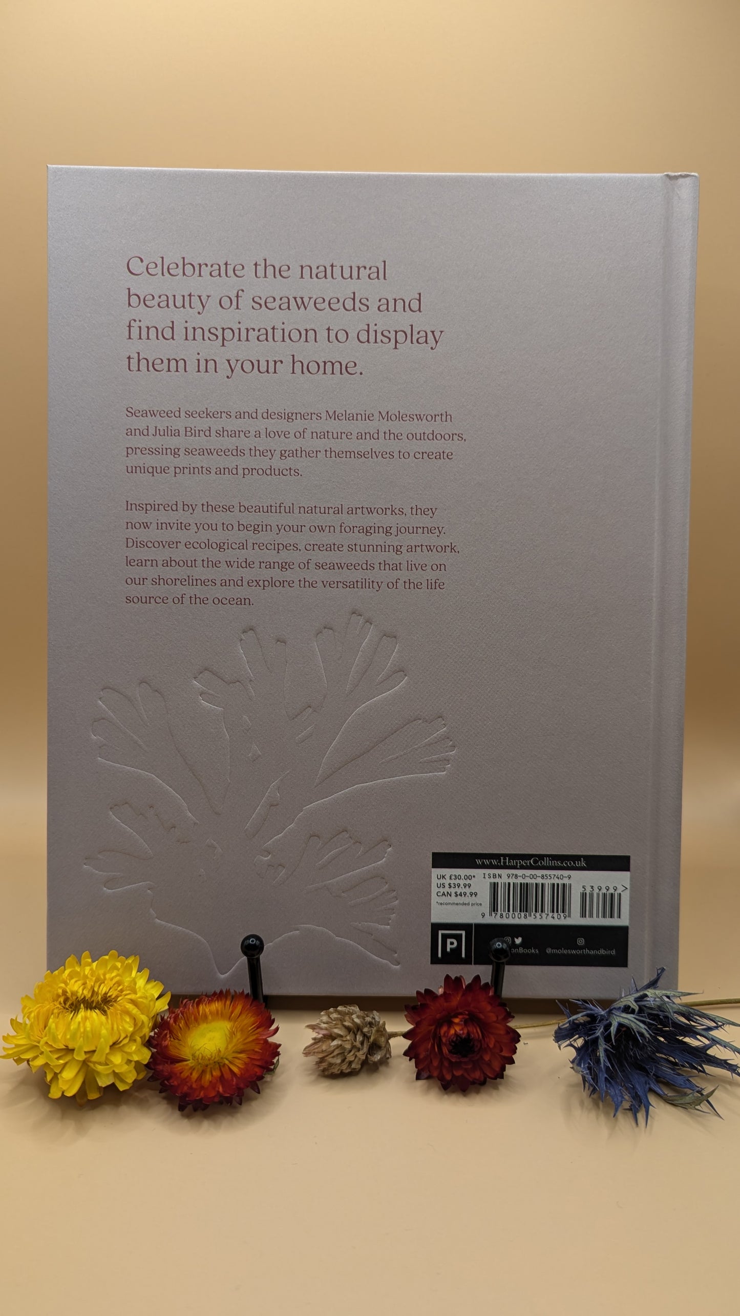 Seaweed: Foraging, collecting, pressing