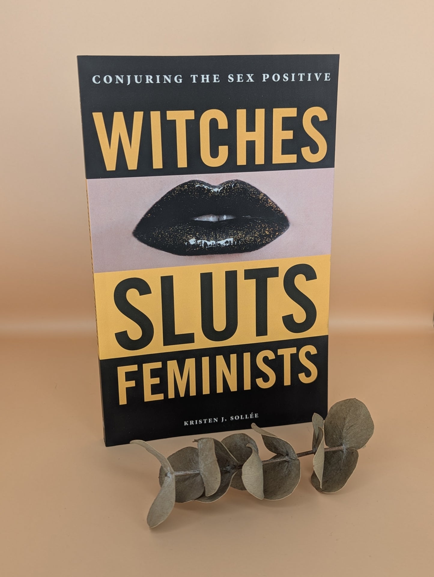 Witches, Sluts, Feminists