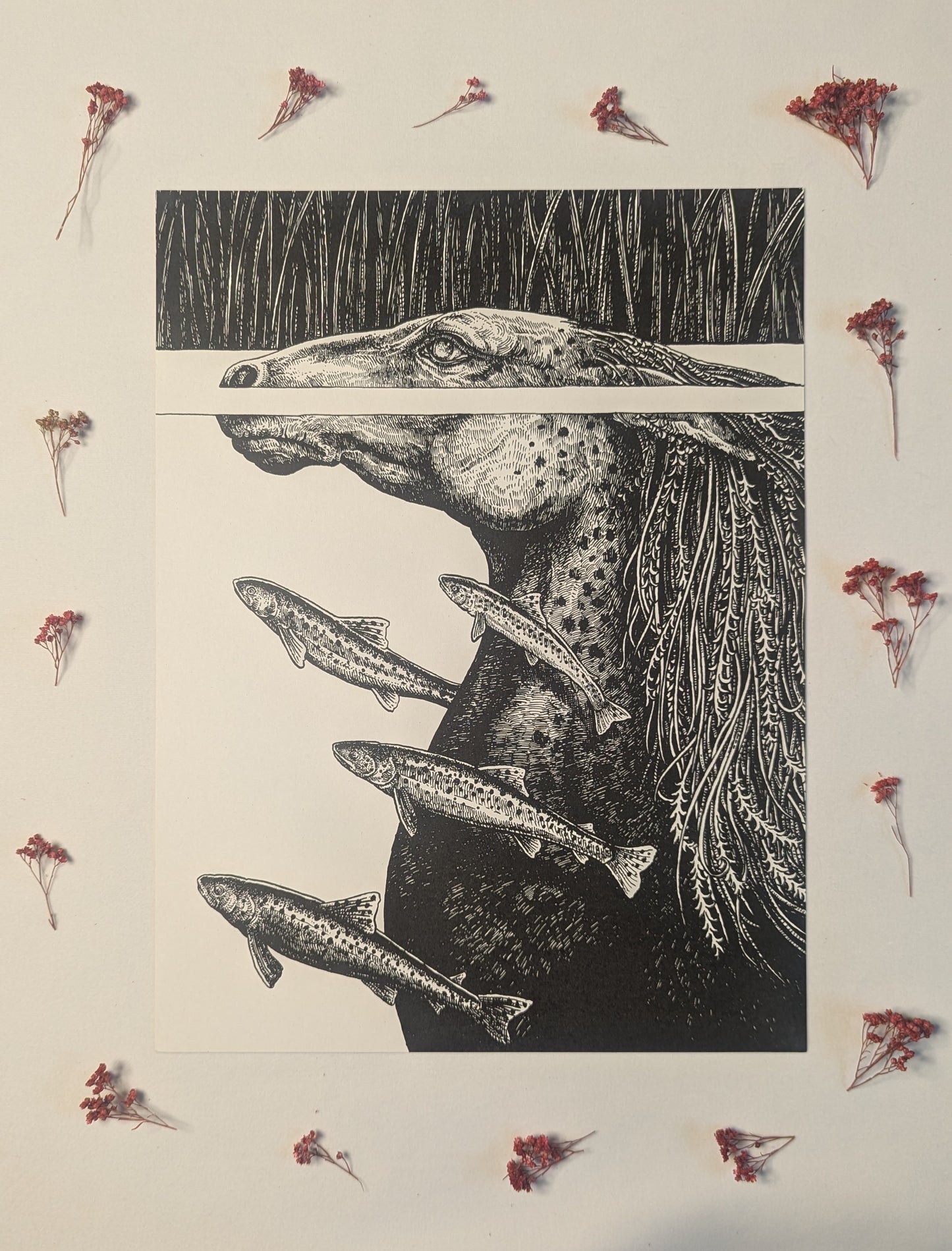 "Kelpie" by Hester Aspland - 305mm x 405mm Print