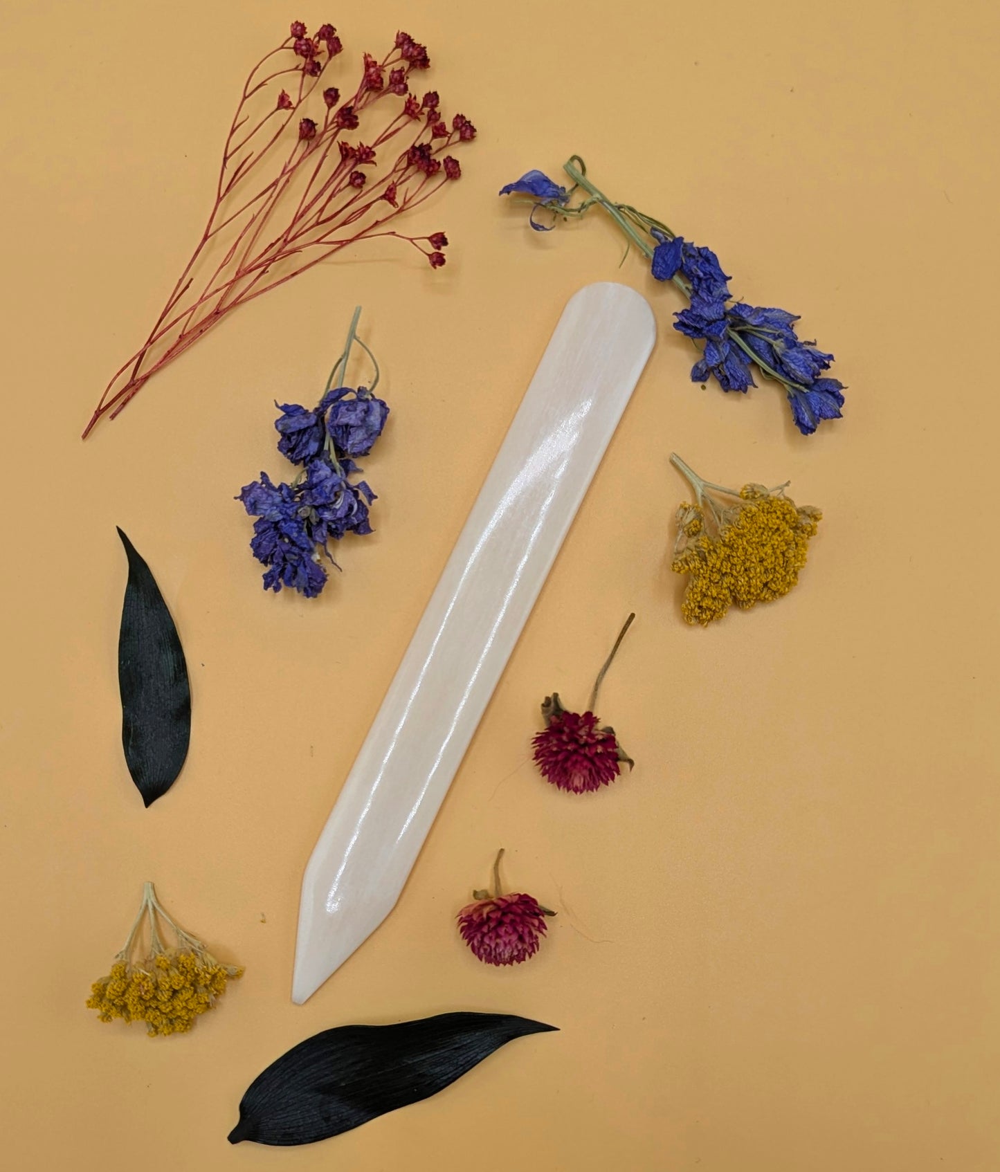 Bone Folder - Bone