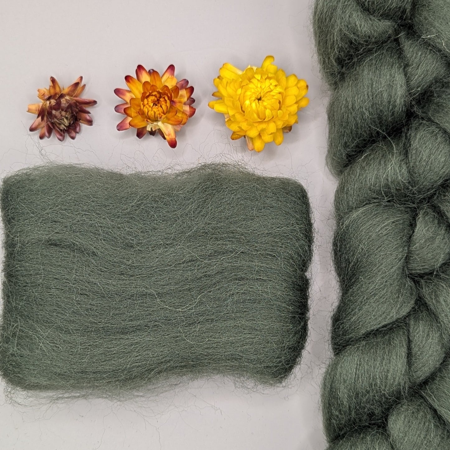 Dyed Shetland Combed Tops 50g