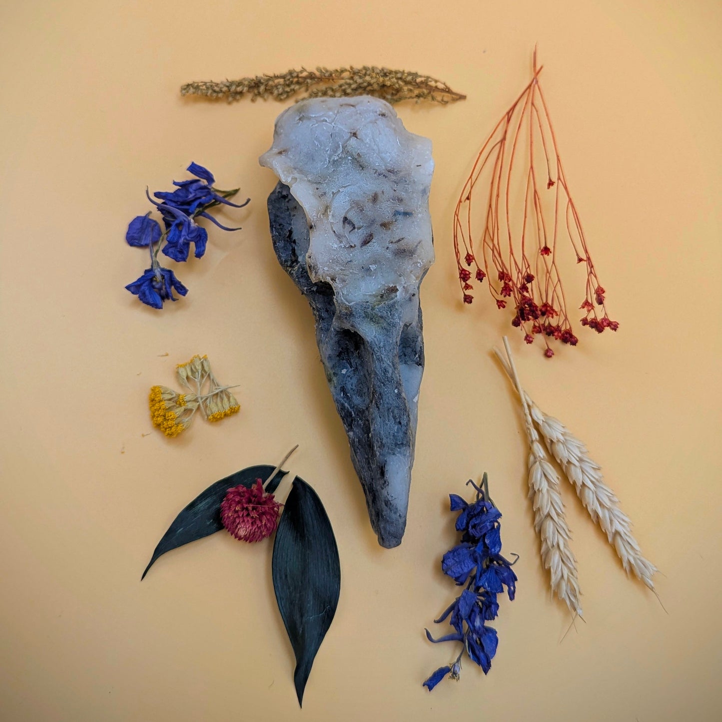 Crow skull Shower Bar - Lavender & Vetiver